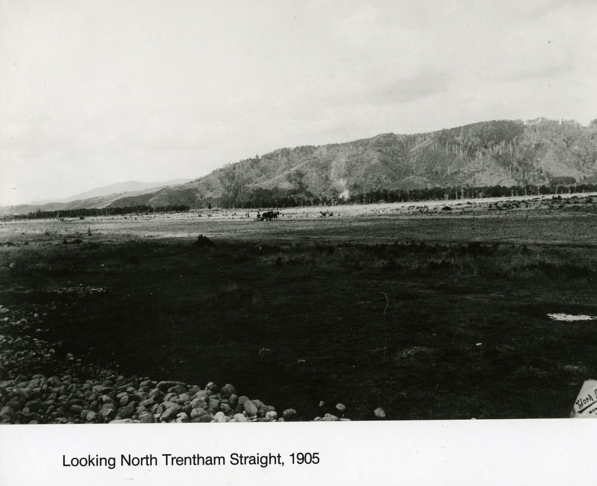 Trentham racecourse site; view looking east.