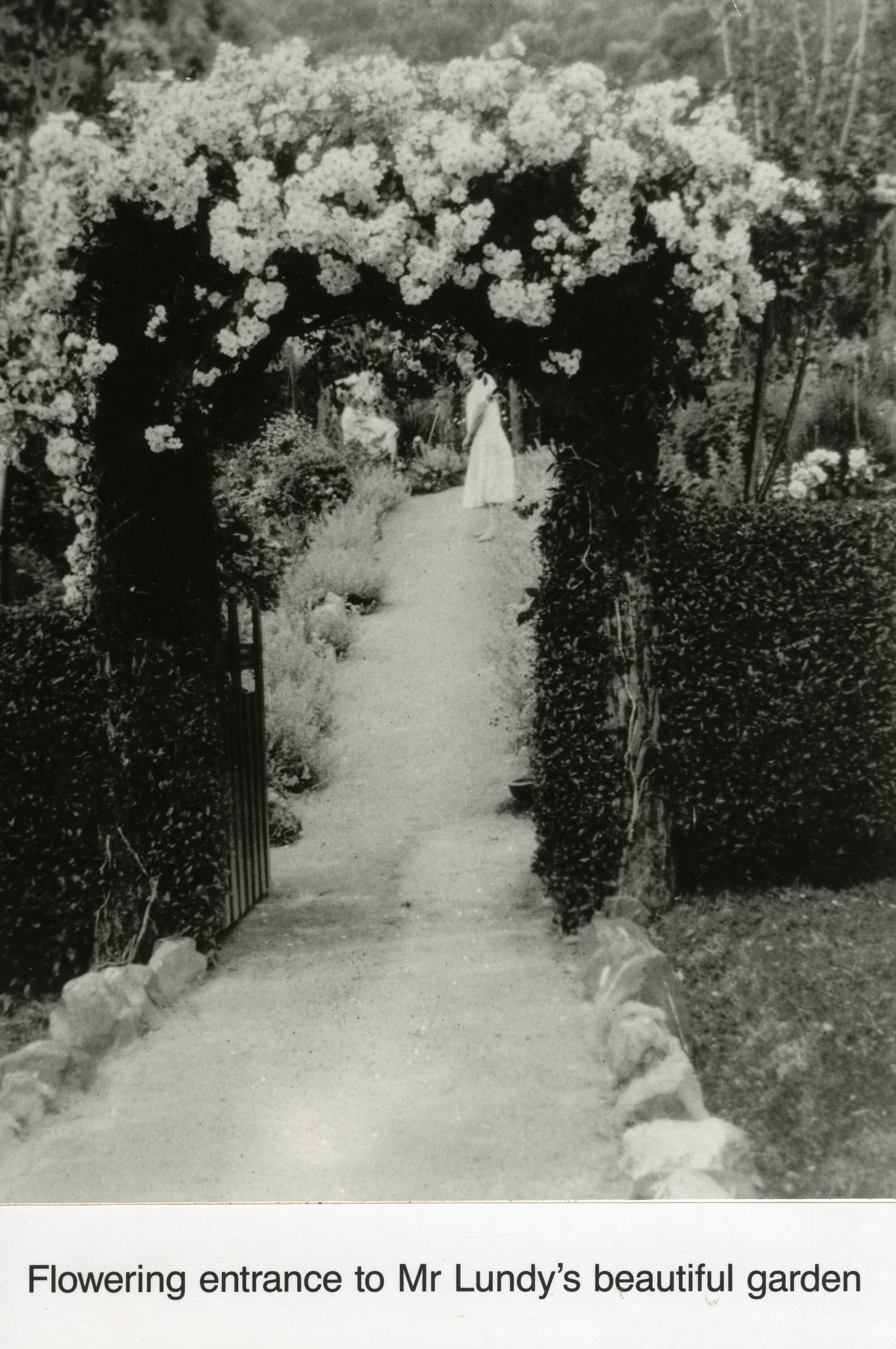 Pinehaven Road residents; Mr Lundy's beautiful garden; flowering entrance.