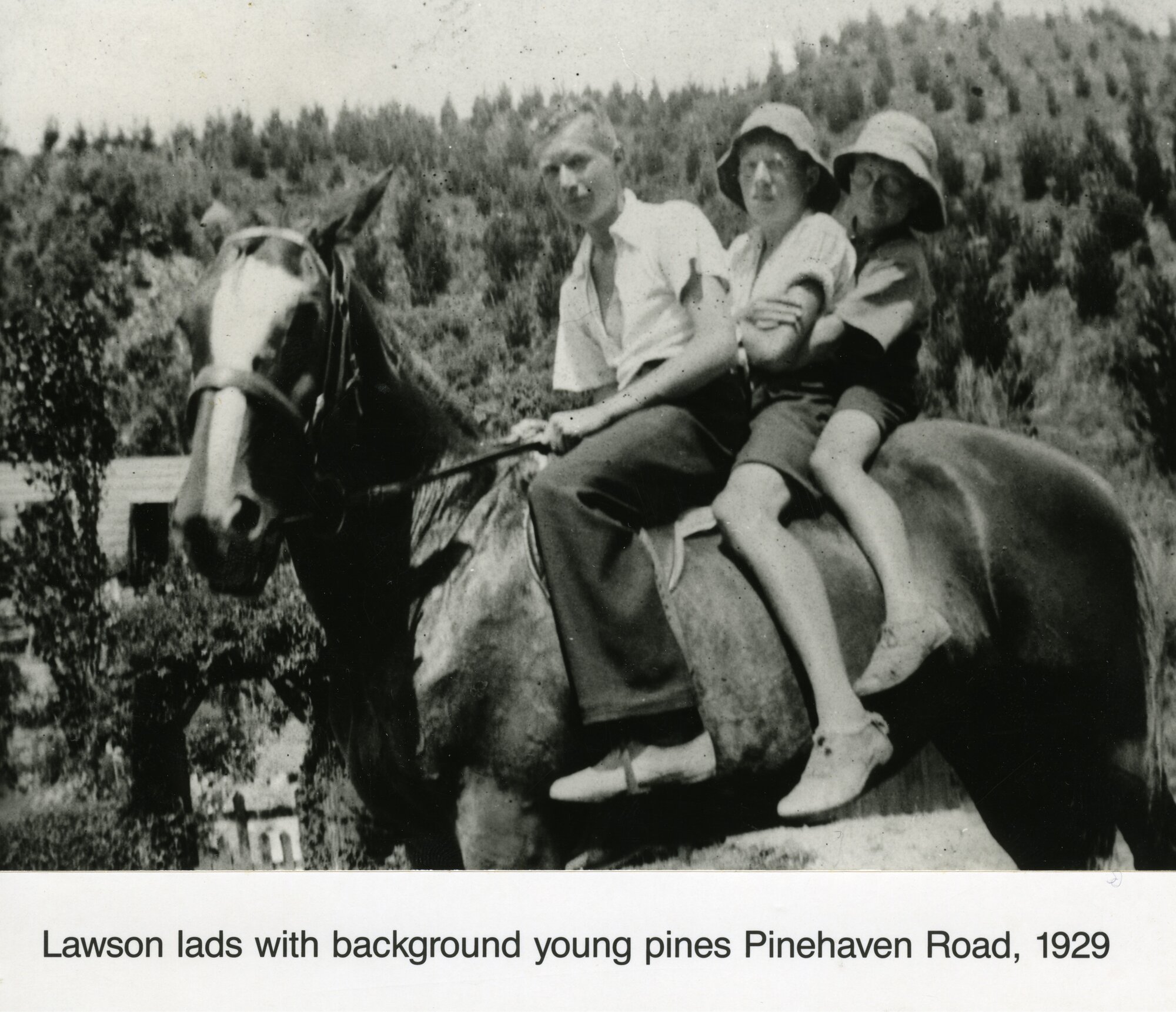 Pinehaven Road residents; Lawson lads on horseback.