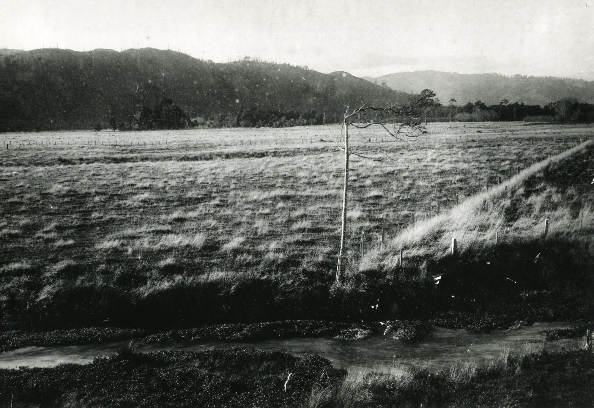 Flat pasture facing western Hutt hills; Heretaunga golf course site?