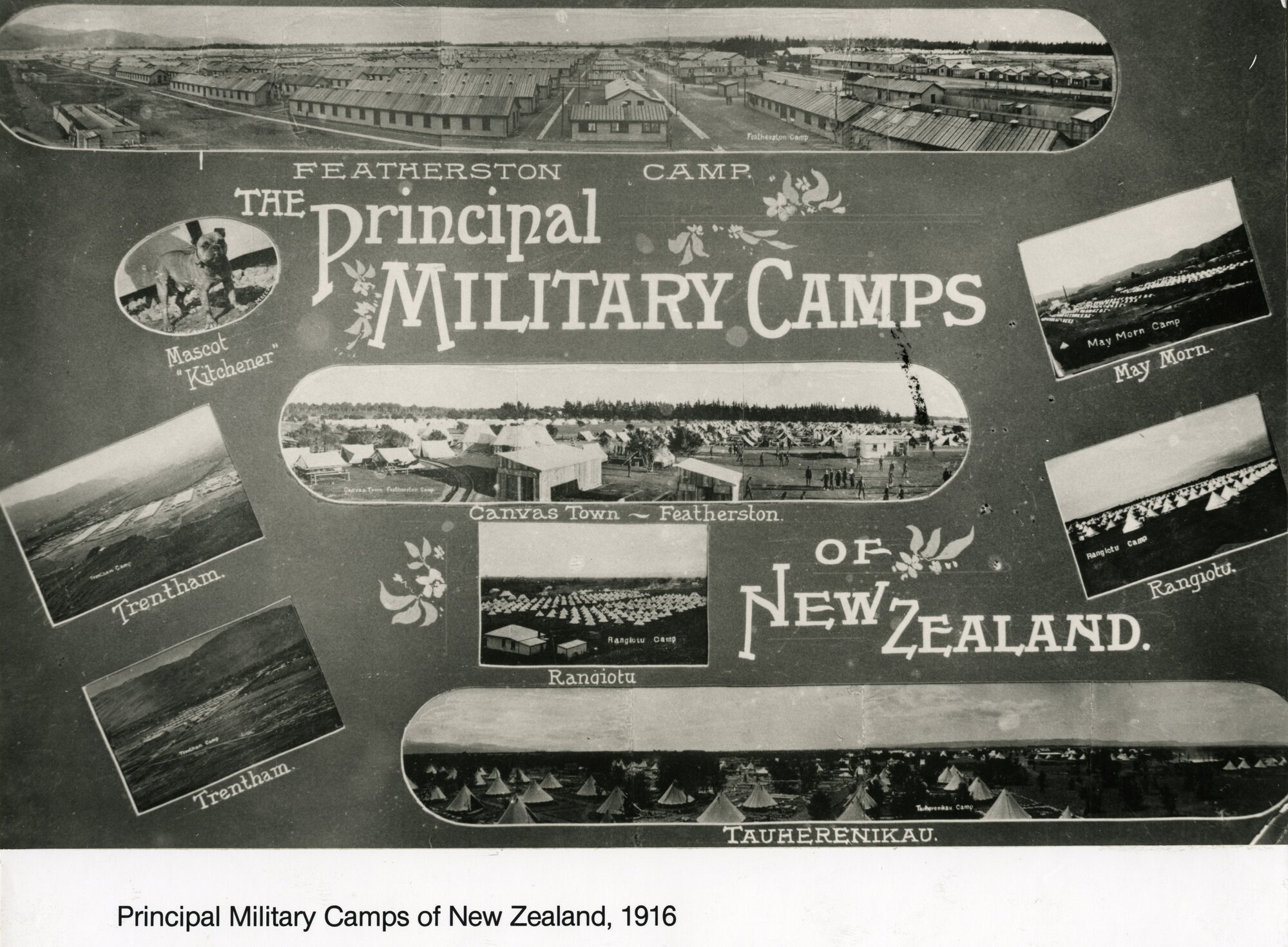 Military Camps of New Zealand, 1916.