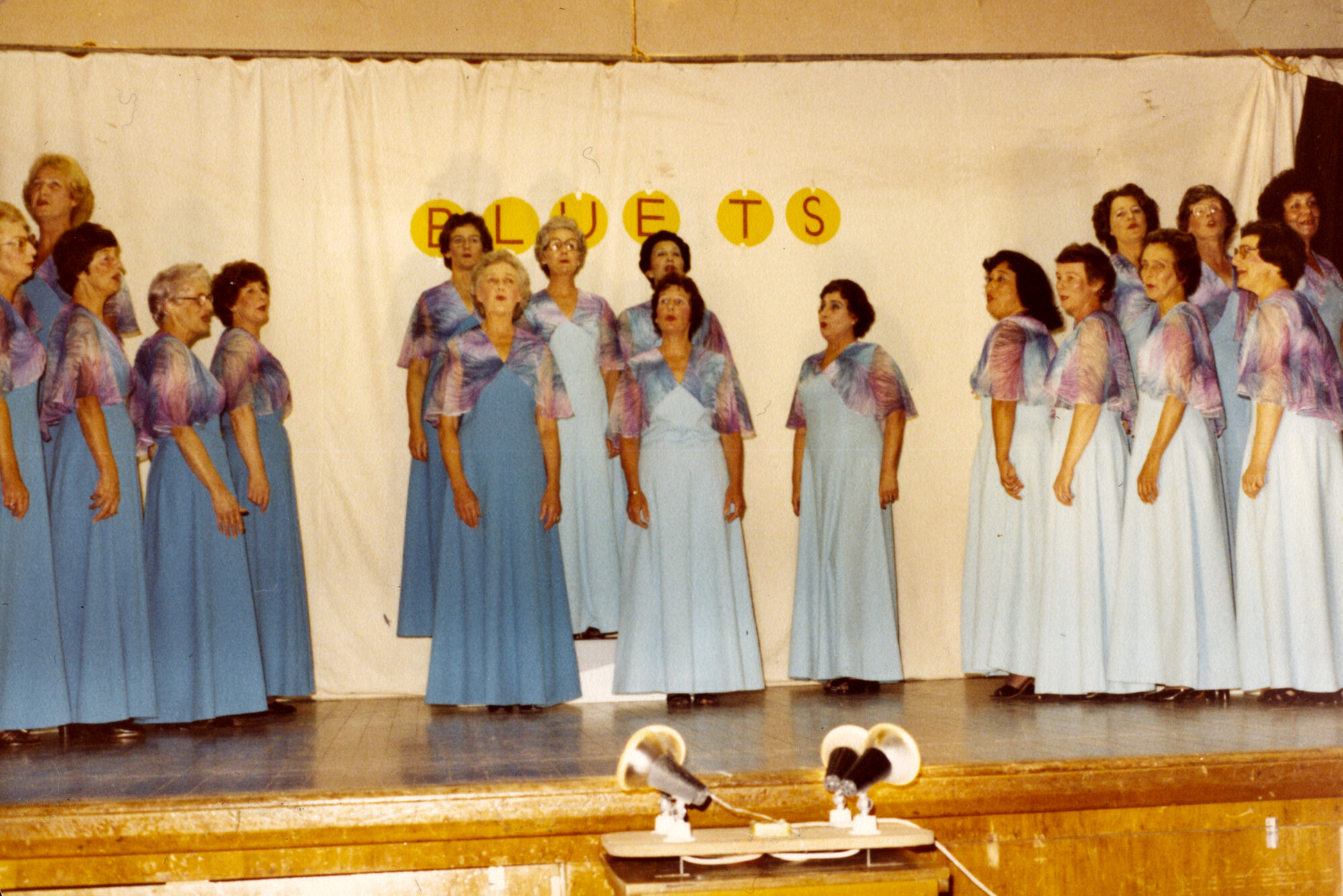 The Blue Ts Mothers Group 1981 001