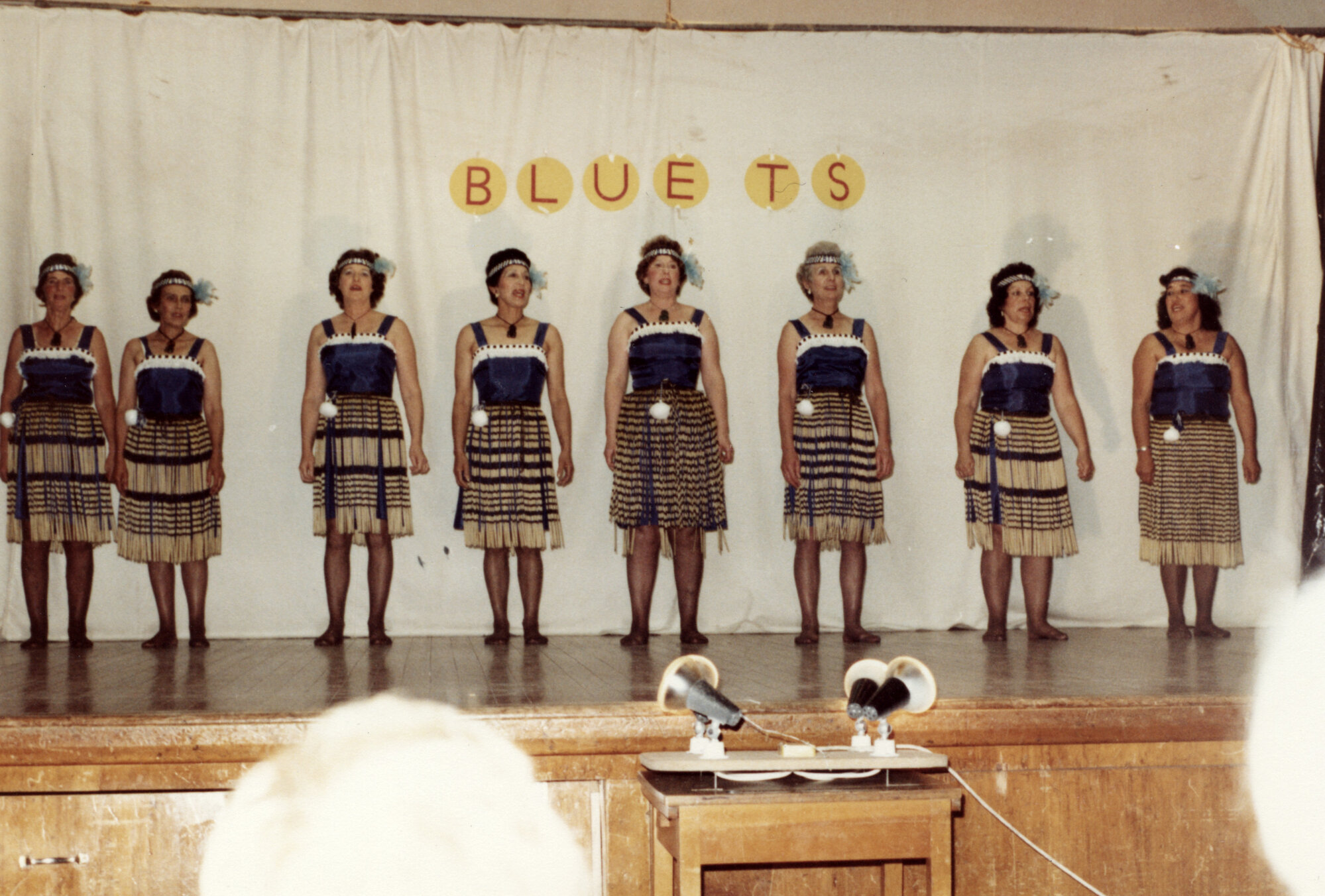 The Blue Ts Mothers Group 1981 003