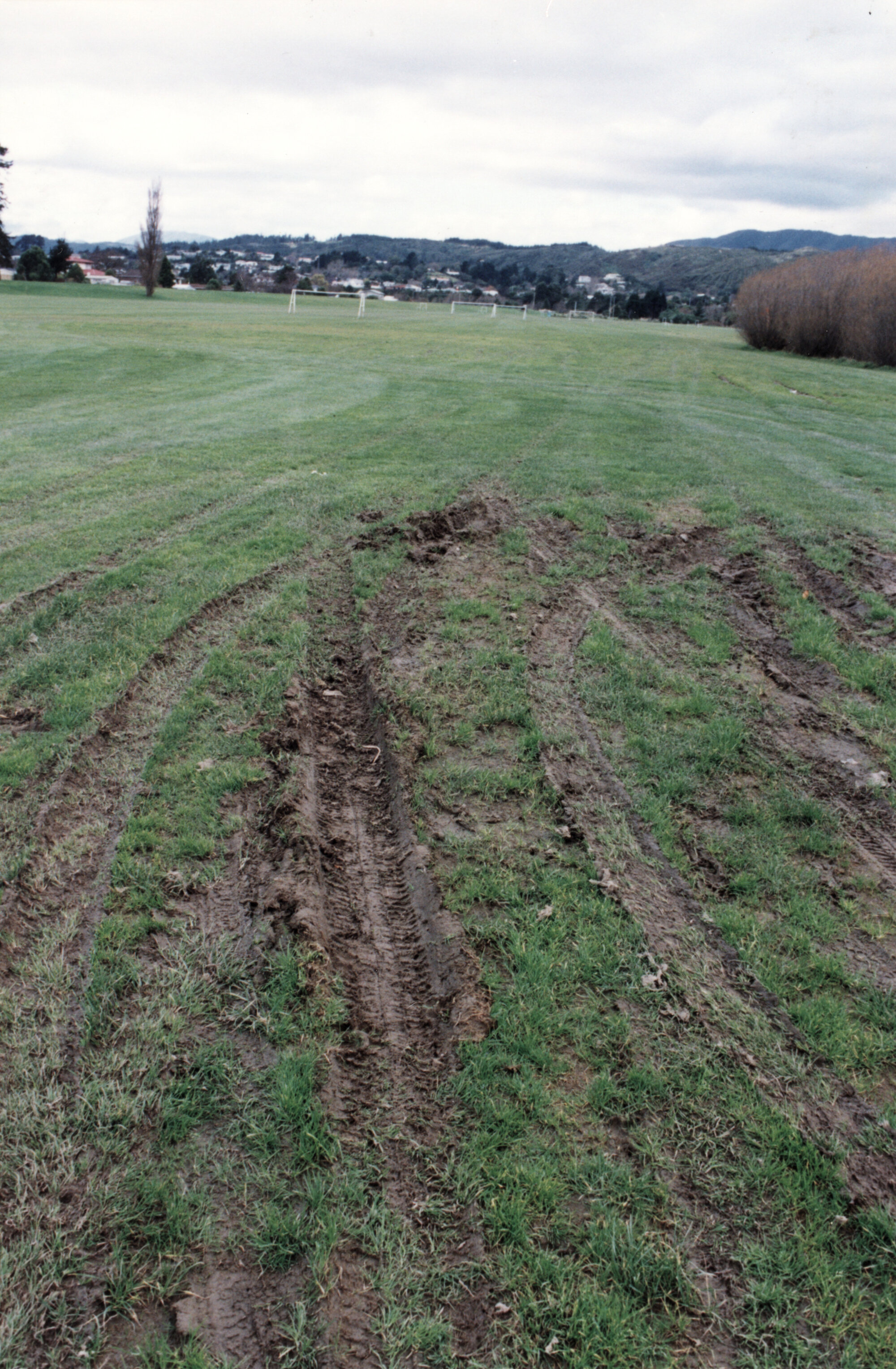 Awakairangi Park; damage caused by vehicles.