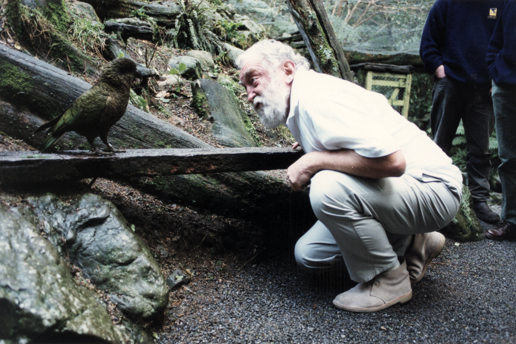 English botanist Dr. David Bellamy meets a kea at Staglands; 2000