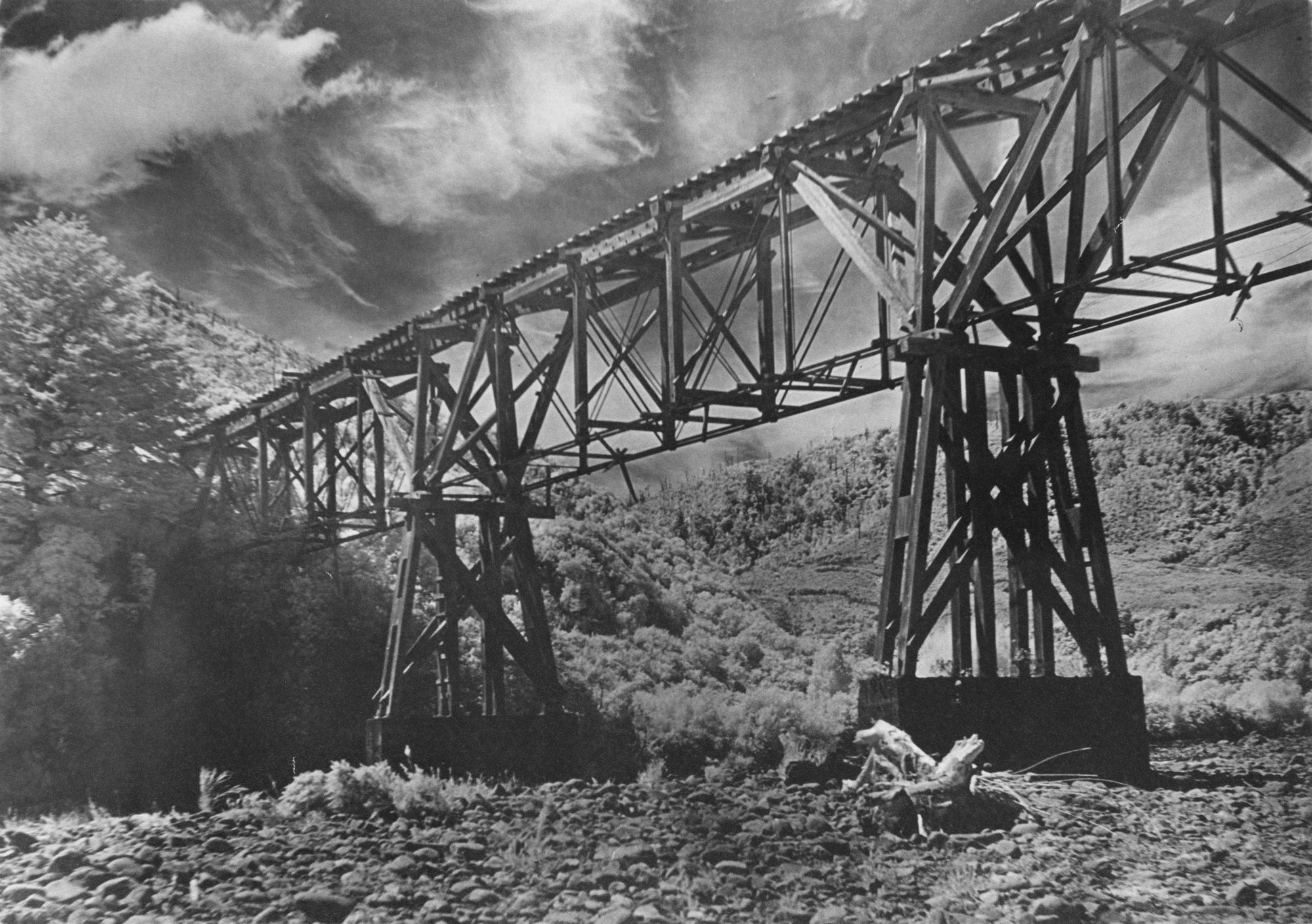 Bush tramway bridge, crossing Te Awa Kairangi / Hutt River at Te Marua; infra-red filter.