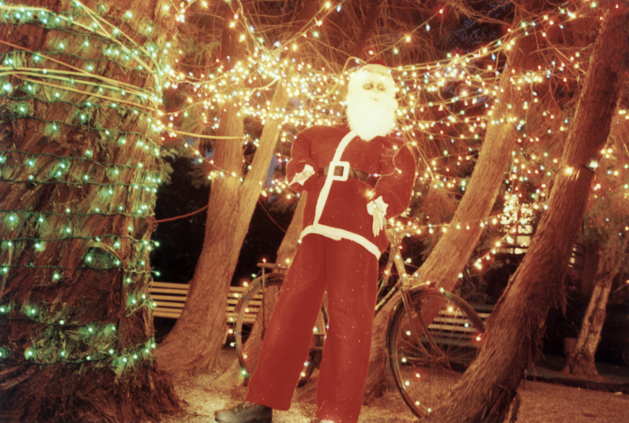 Christmas lights 2001; overall winners Wiffens, Chatsworth Road