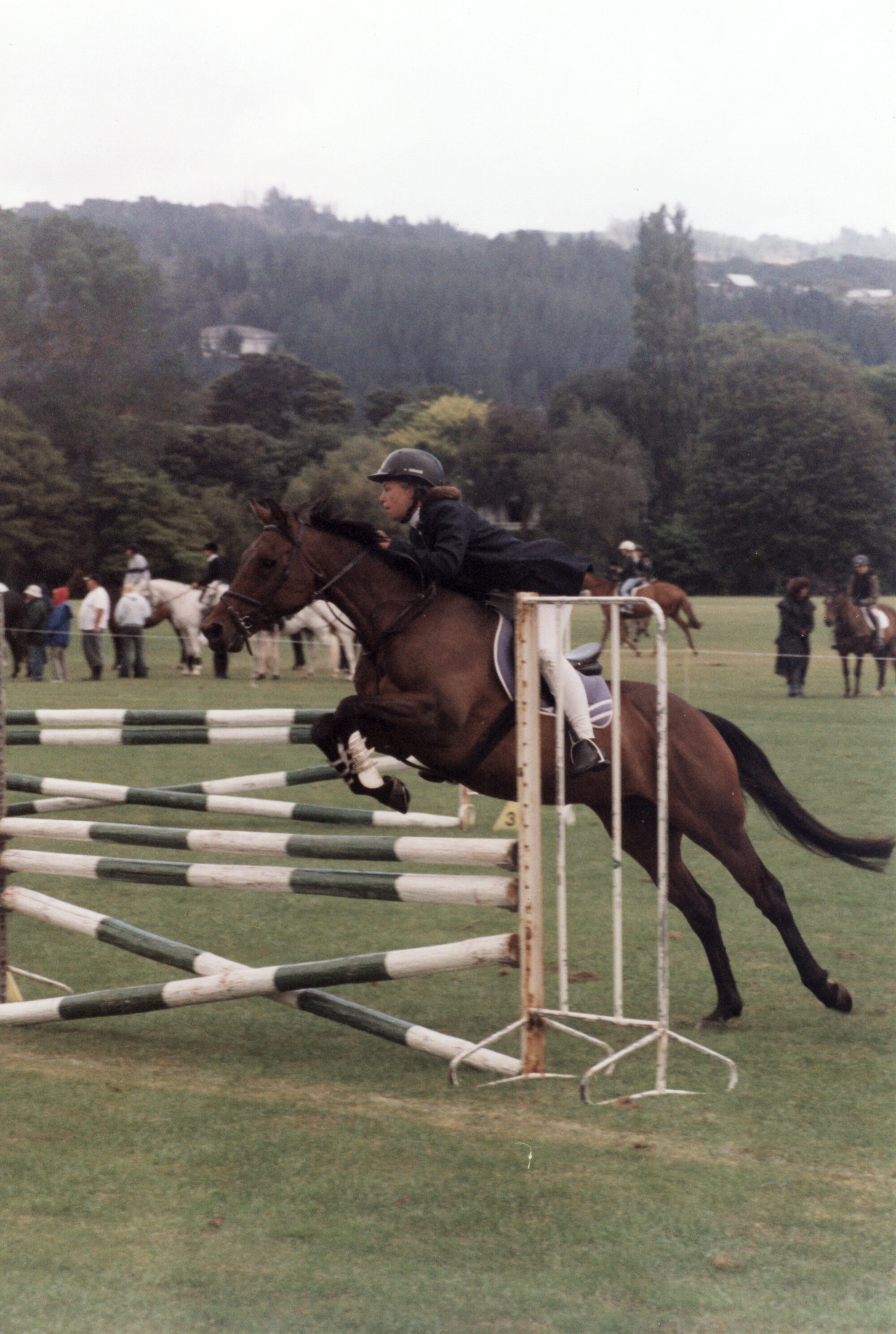 Upper Valley Equestrian Day, Trentham Memorial Park; Amy Miller on Nimrod.