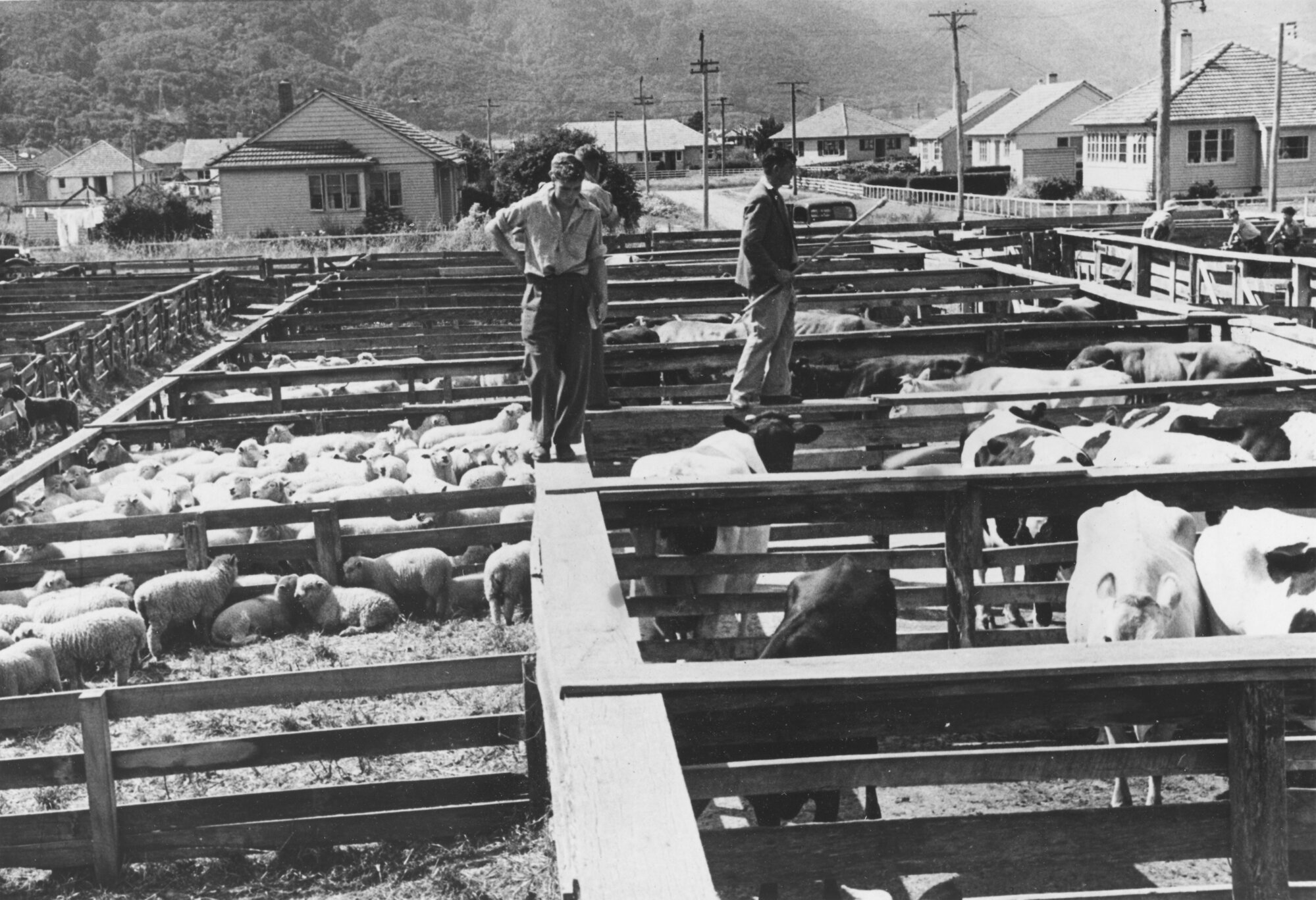 Queen Street saleyards and Savage Crescent.