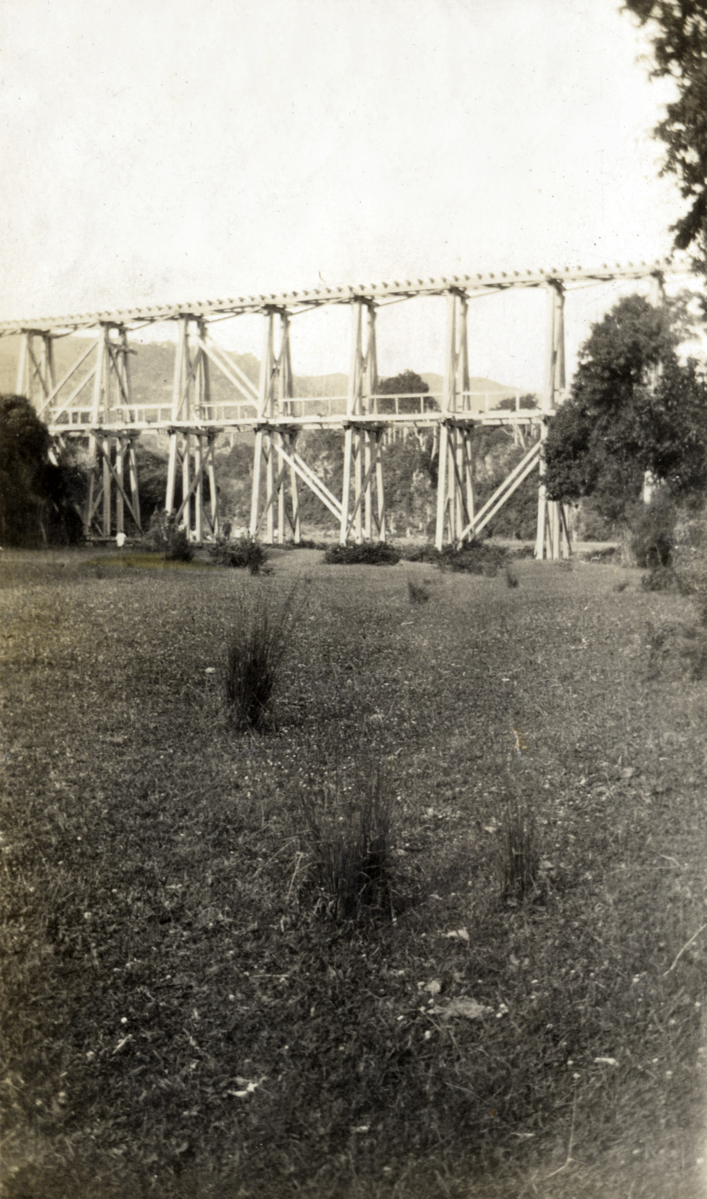 Timber industry; bridge for a bush tramway feeding a sawmill.