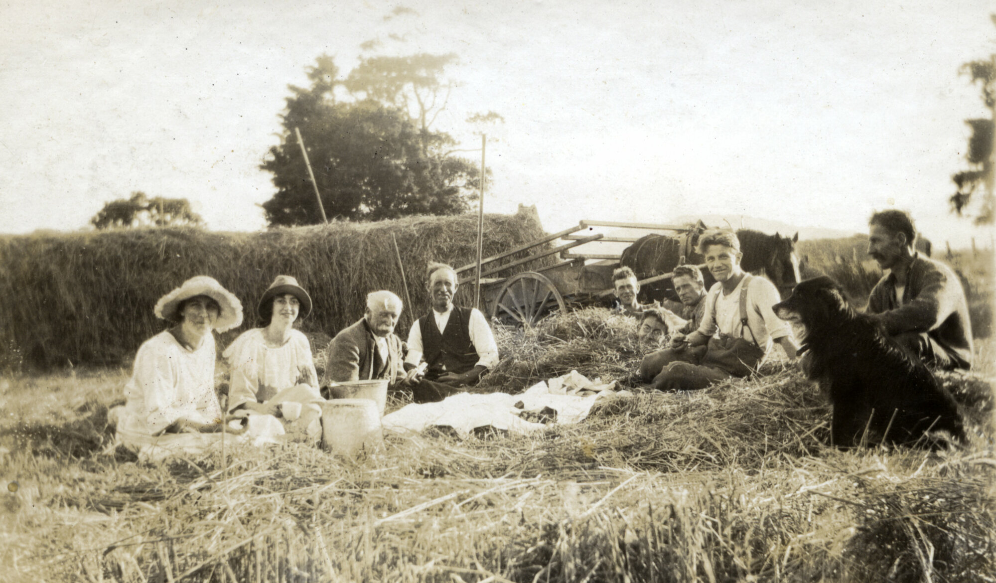 Poulson collection; Salisbury, Hazelwood, Munn, Keys