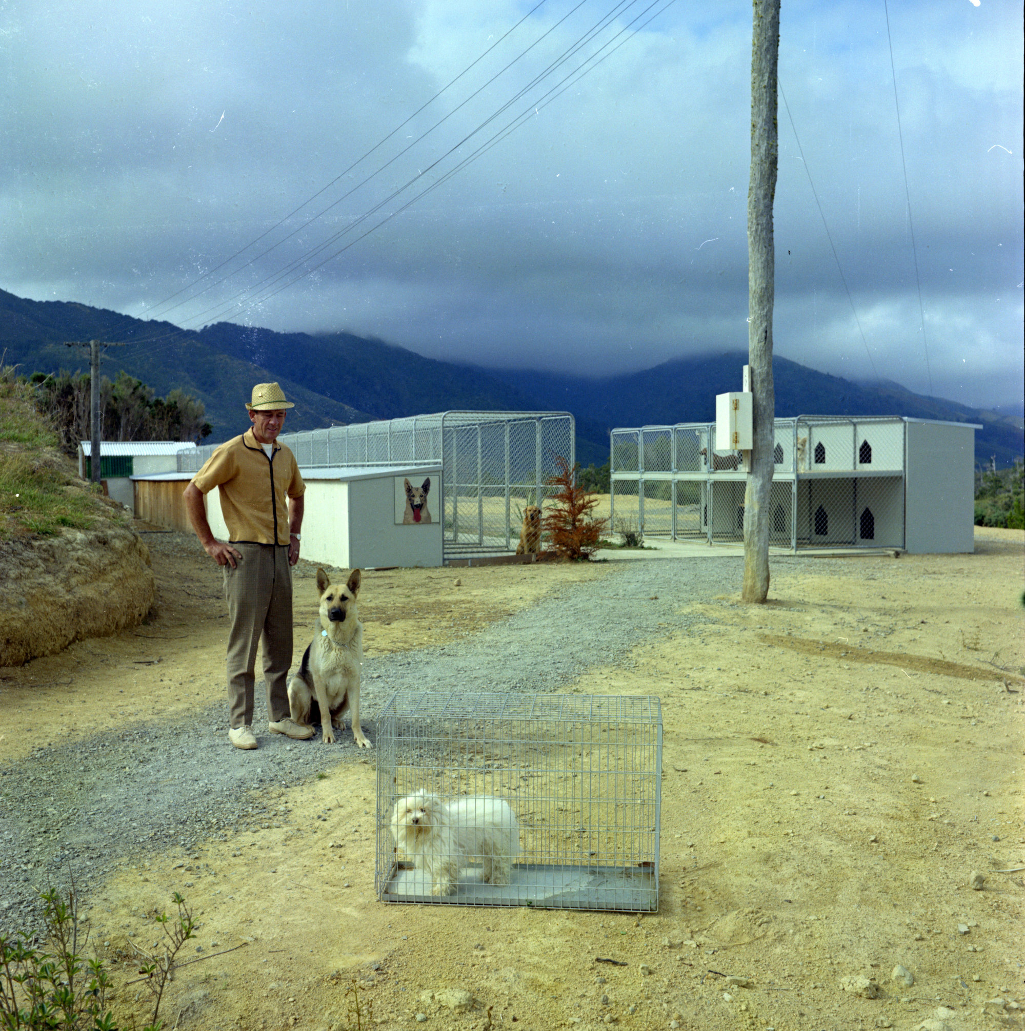 Cornelius Aben and dog kennels. 