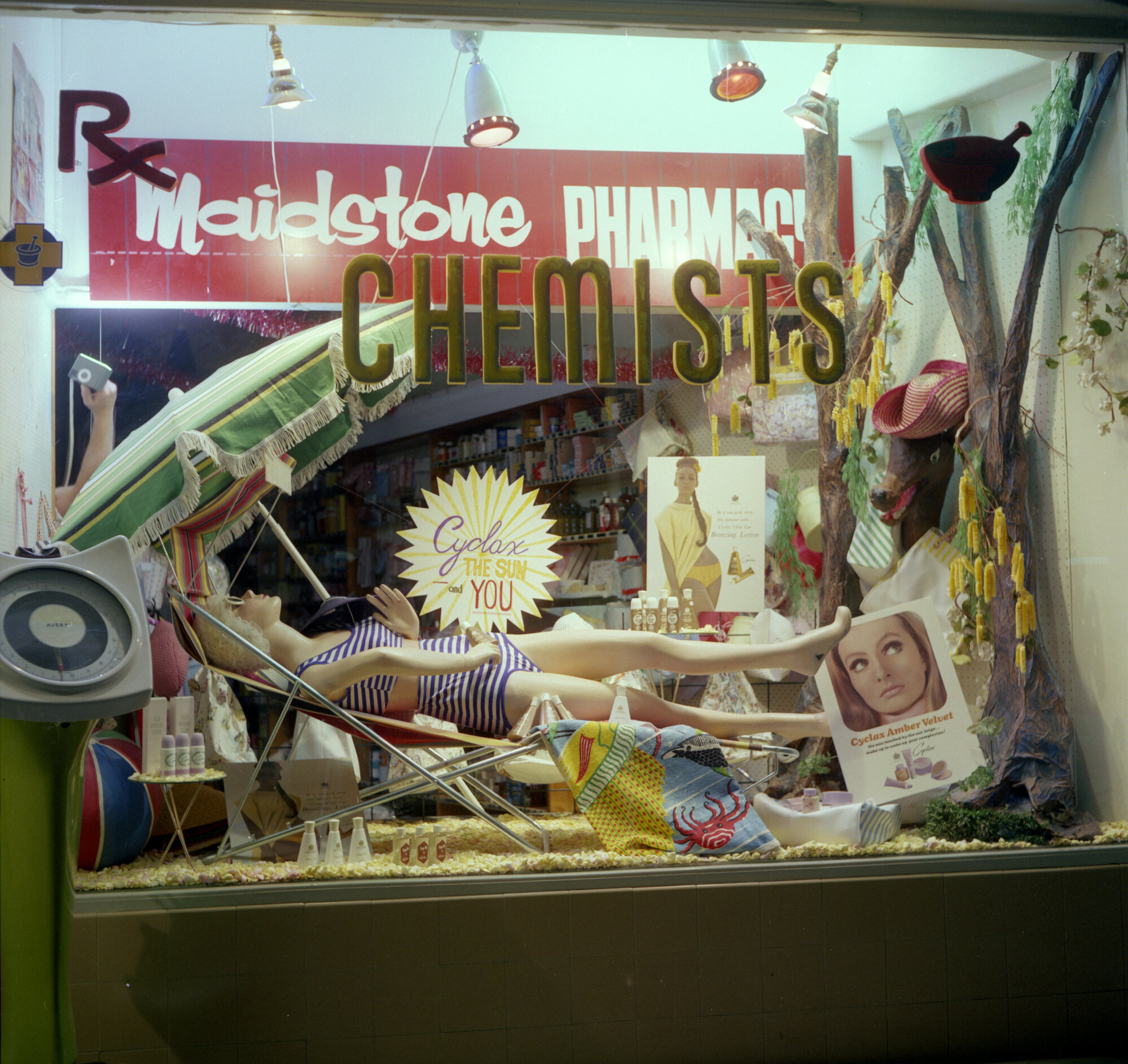 Maidstone Pharmacy, corner of Main and Logan streets; window display. 