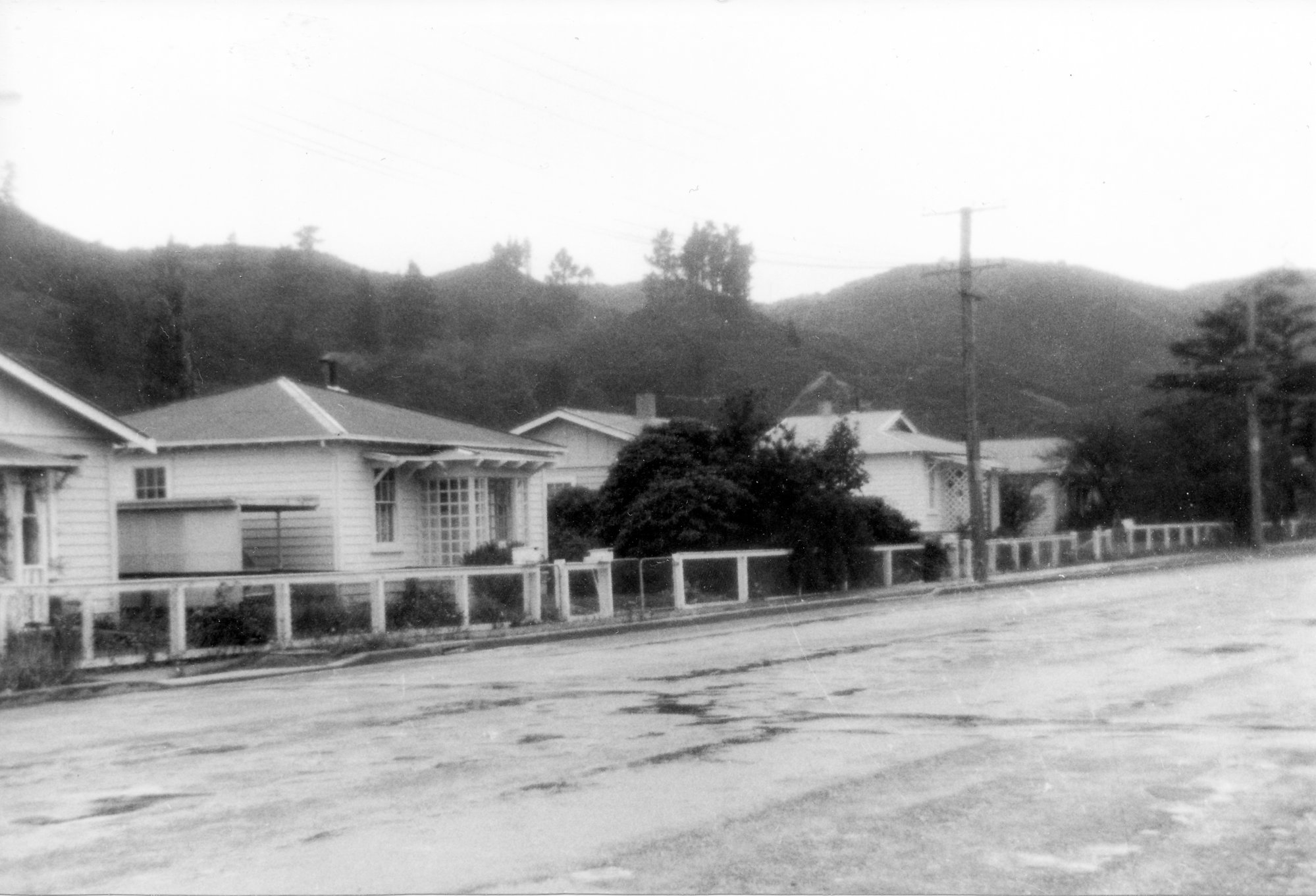 Railway houses, Railway Avenue, Upper Hutt; 1970.