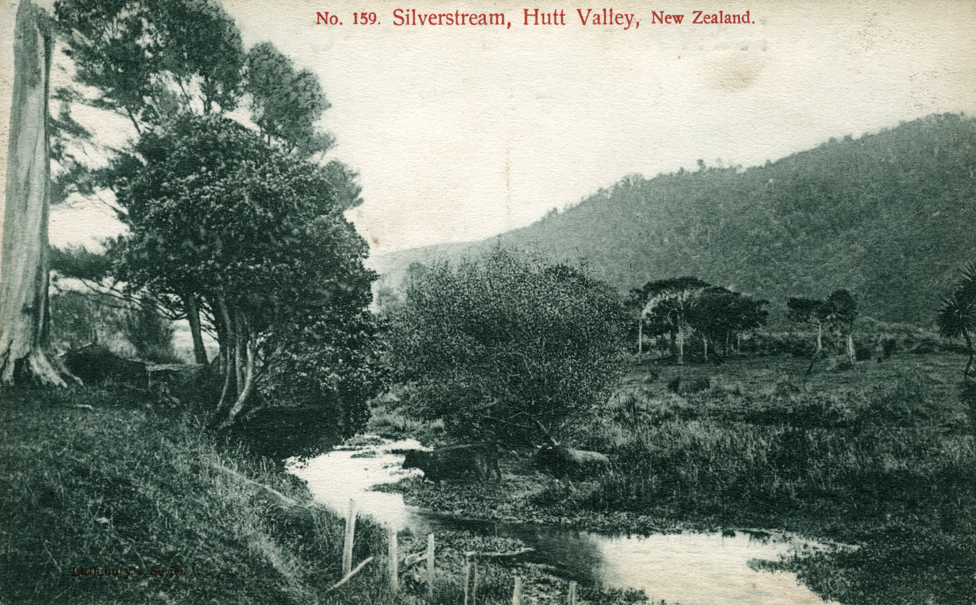 Silverstream Stream