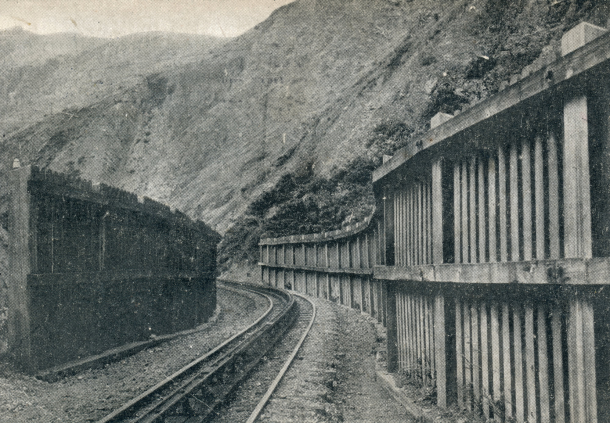 Rimutaka Incline; windbreaks
