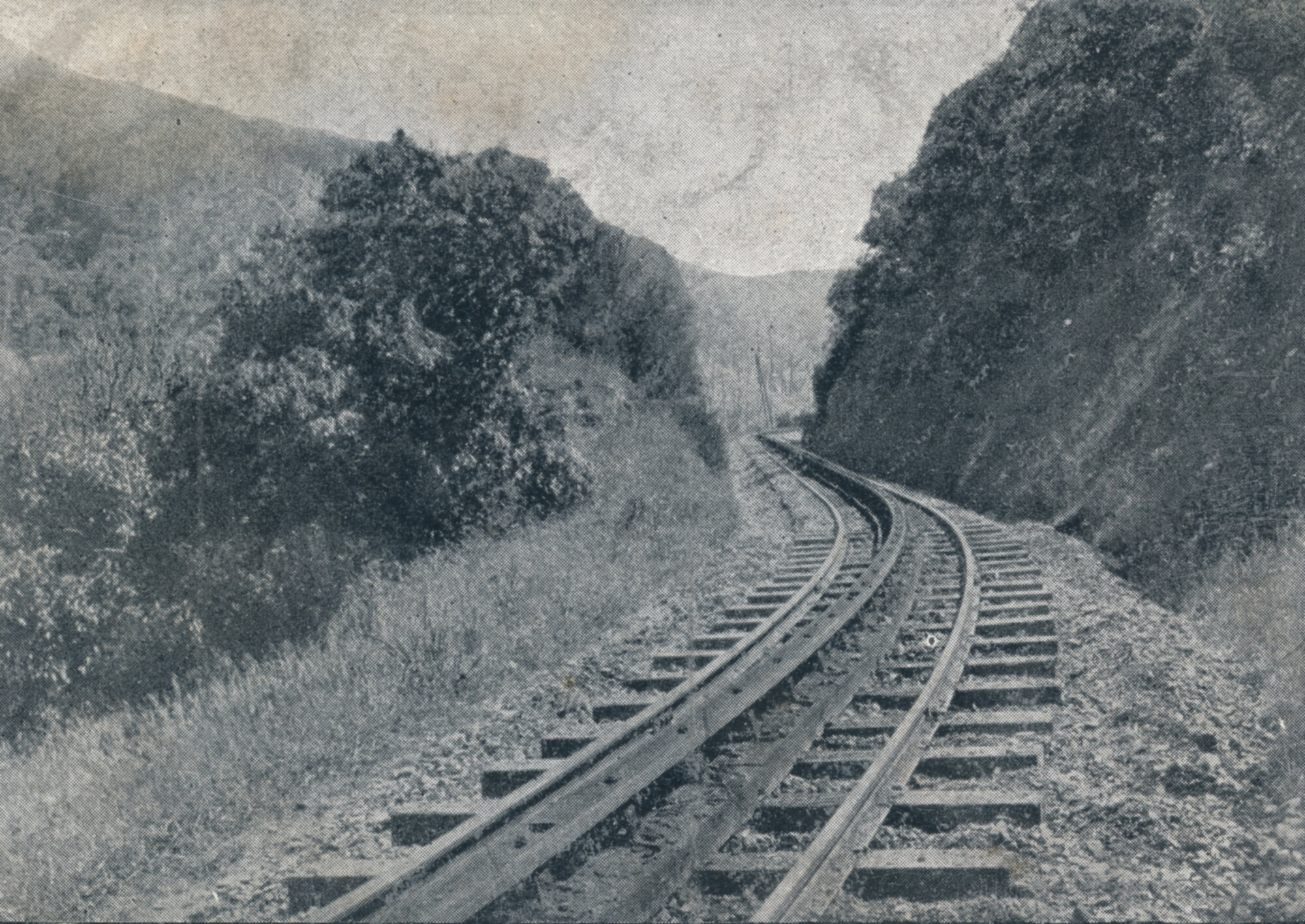 Rimutaka Incline; cutting.
