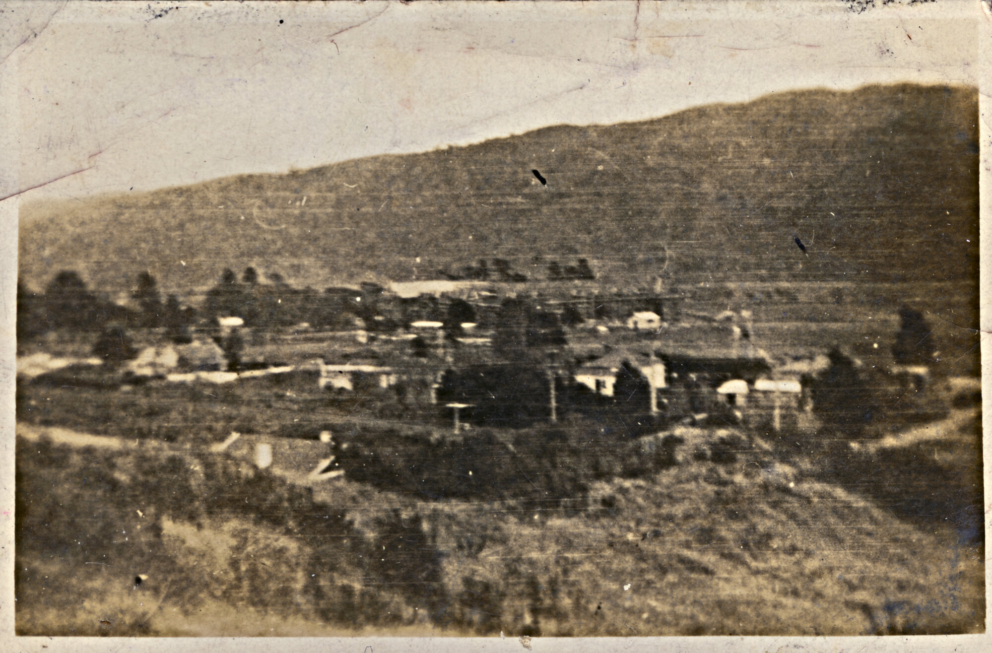 Silverstream with St. Patrick's College in the background.