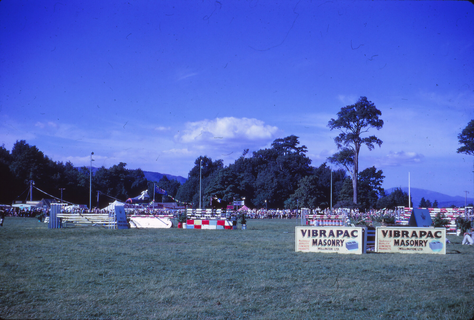 A &amp; P Show; equestrian ring, Trentham Memorial Park 2