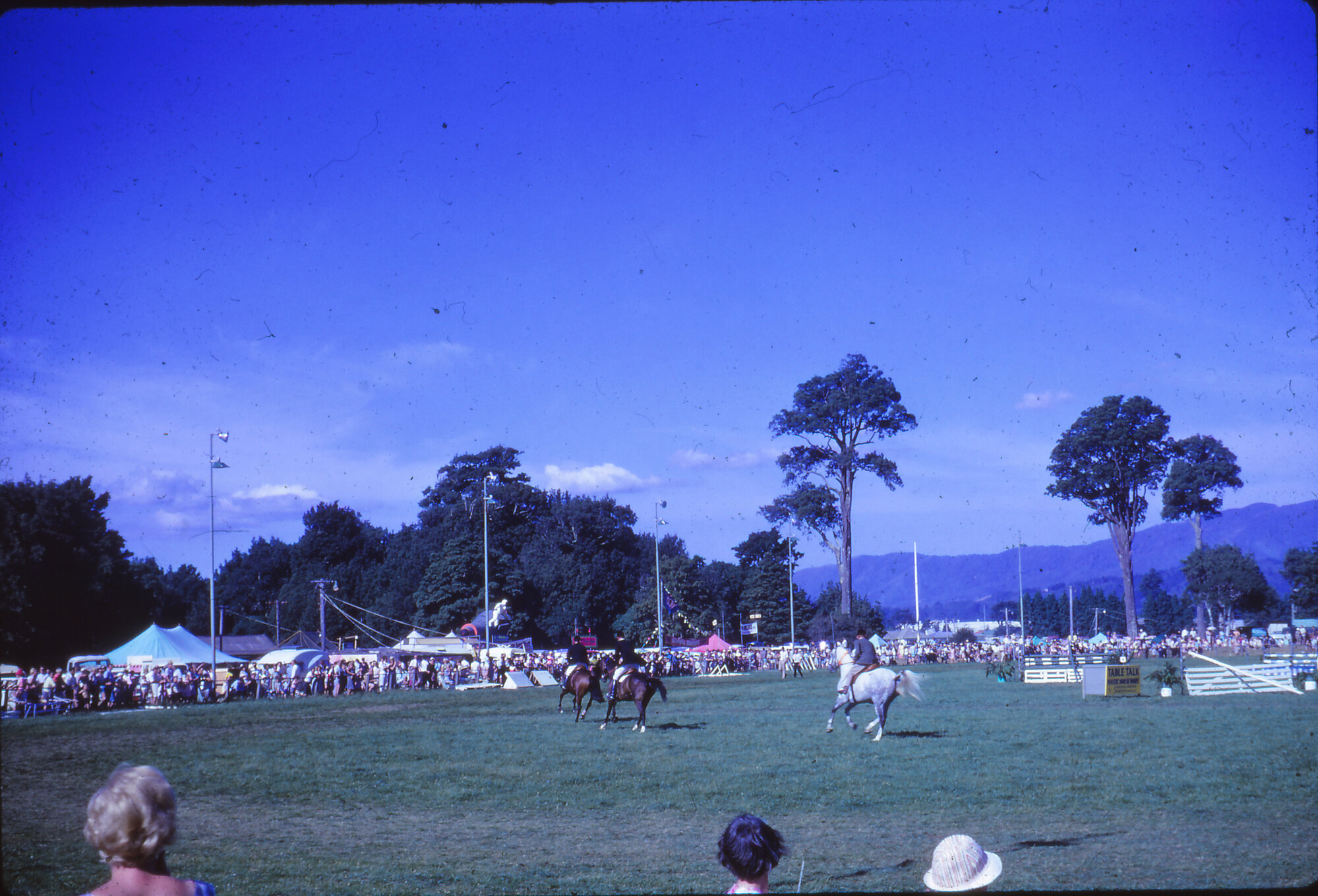 A &amp; P Show; equestrian event, Trentham Memorial Park