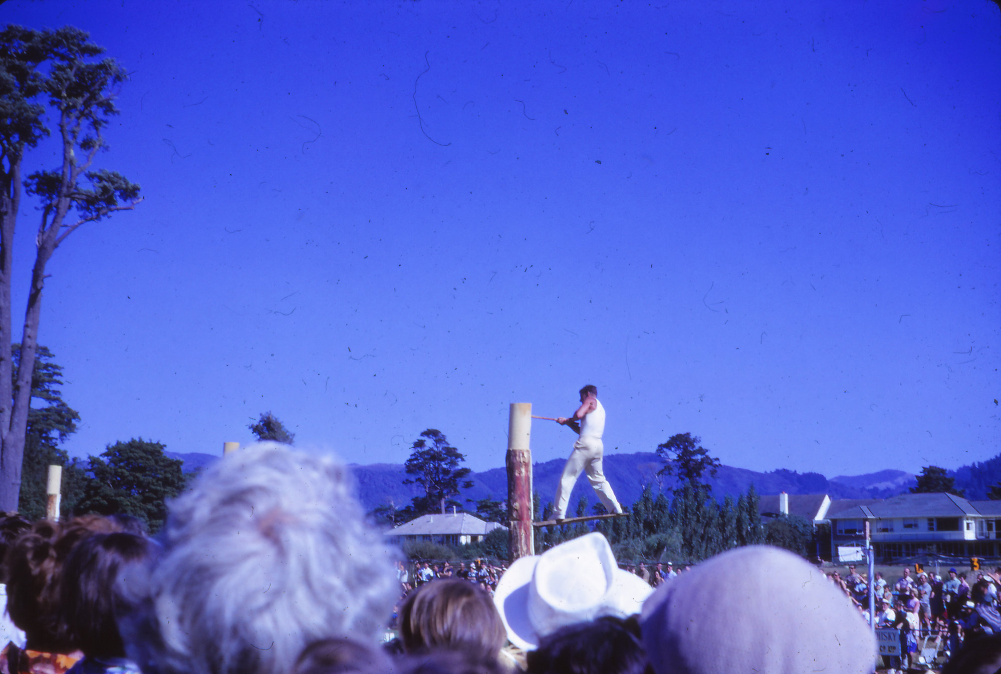 A &amp; P show, Trentham Memorial Park; wood chopping