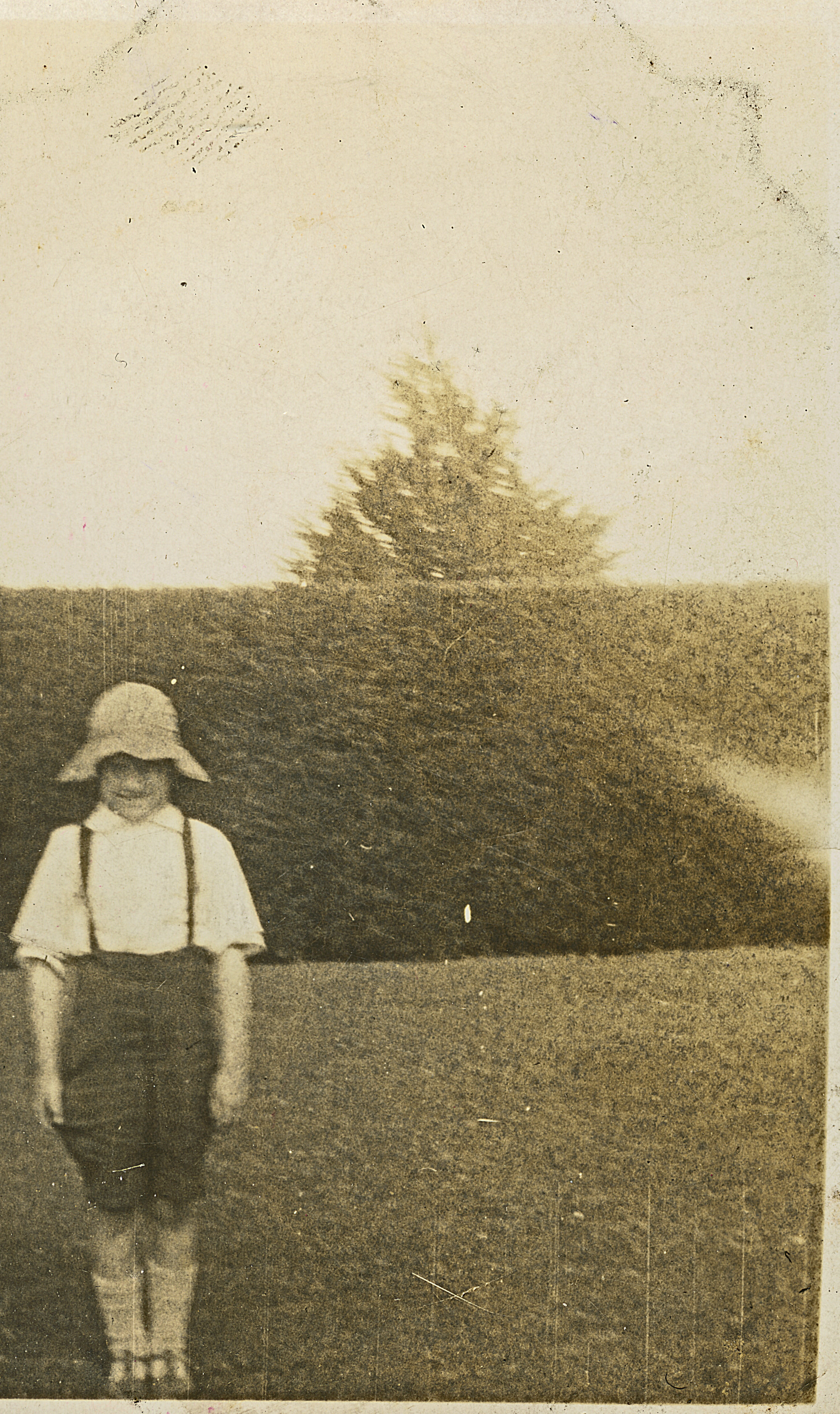 Goodland Boy