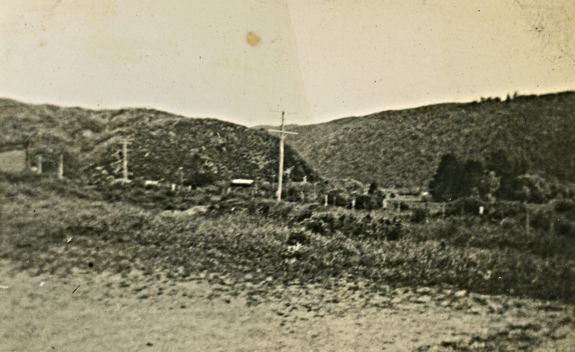 Telephone poles