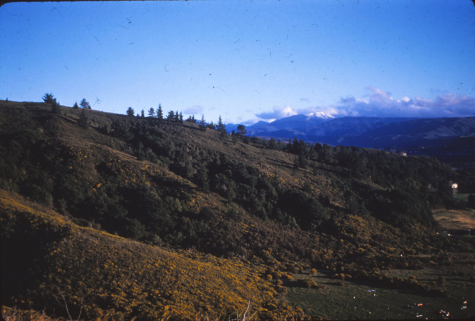 Hills near Upper Hutt