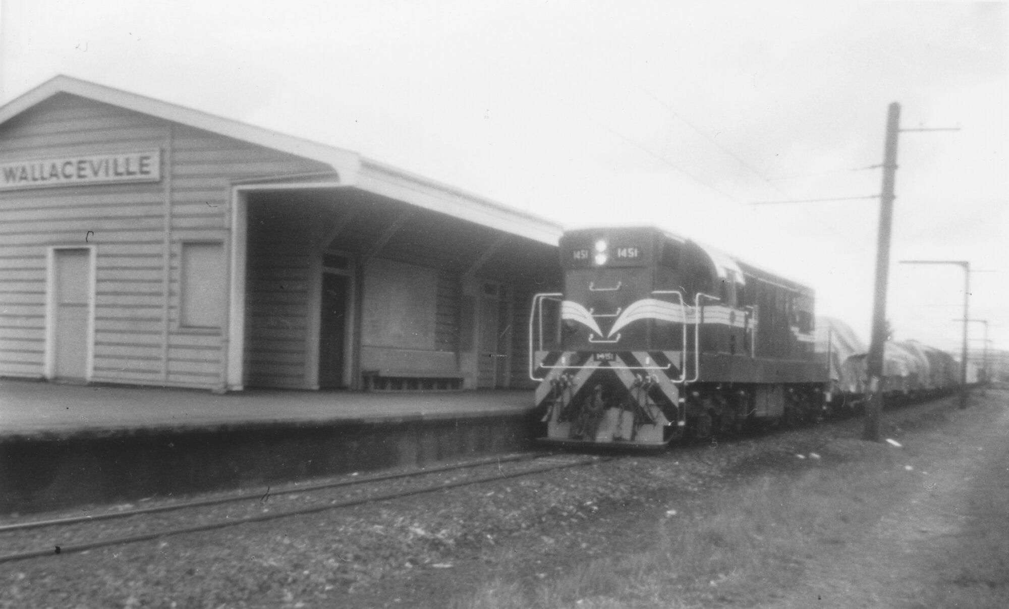 Da-class diesel-electric locomotive No. 1451 with goods train, Wallaceville station - July 1972.
