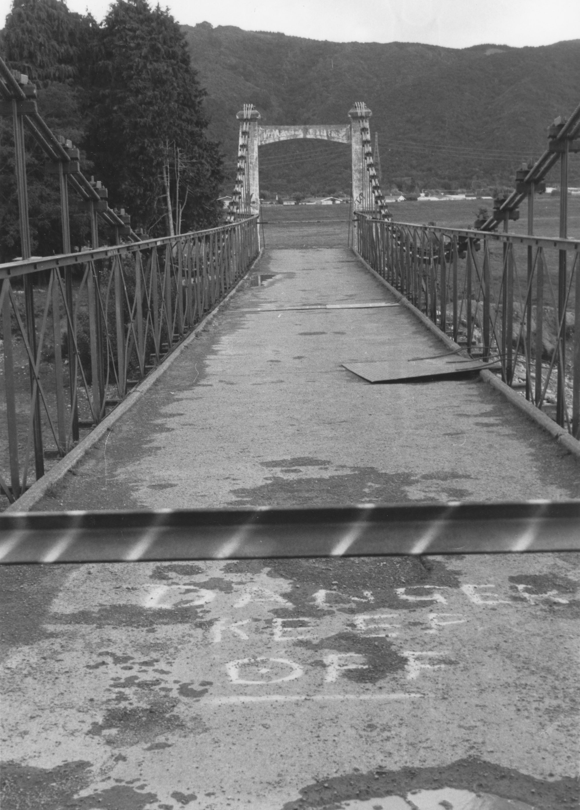 Maoribank suspension bridge, from the south end.