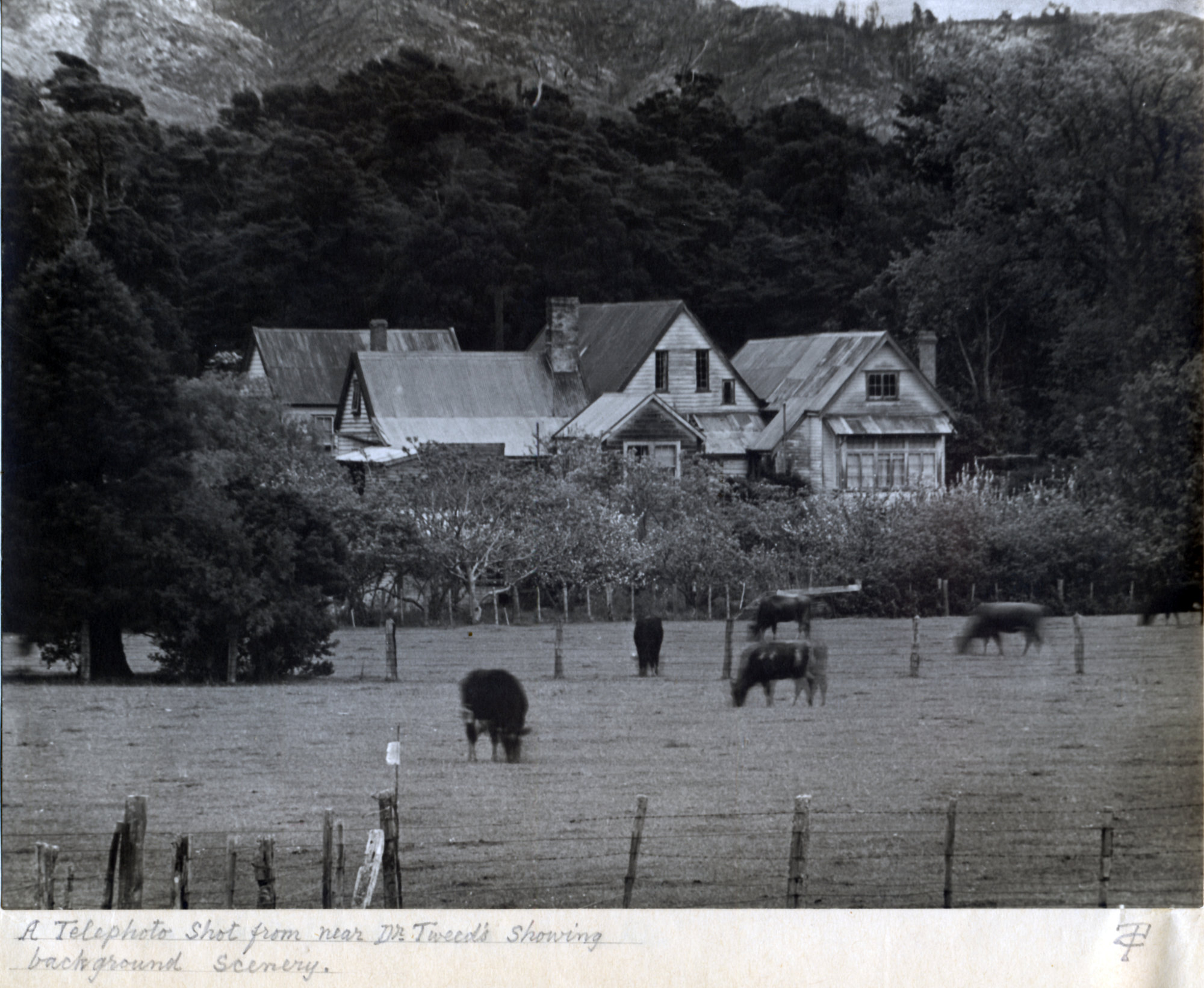 Old house; Barton homestead album  4; 'The Manor House', Trentham; telephoto view from the east