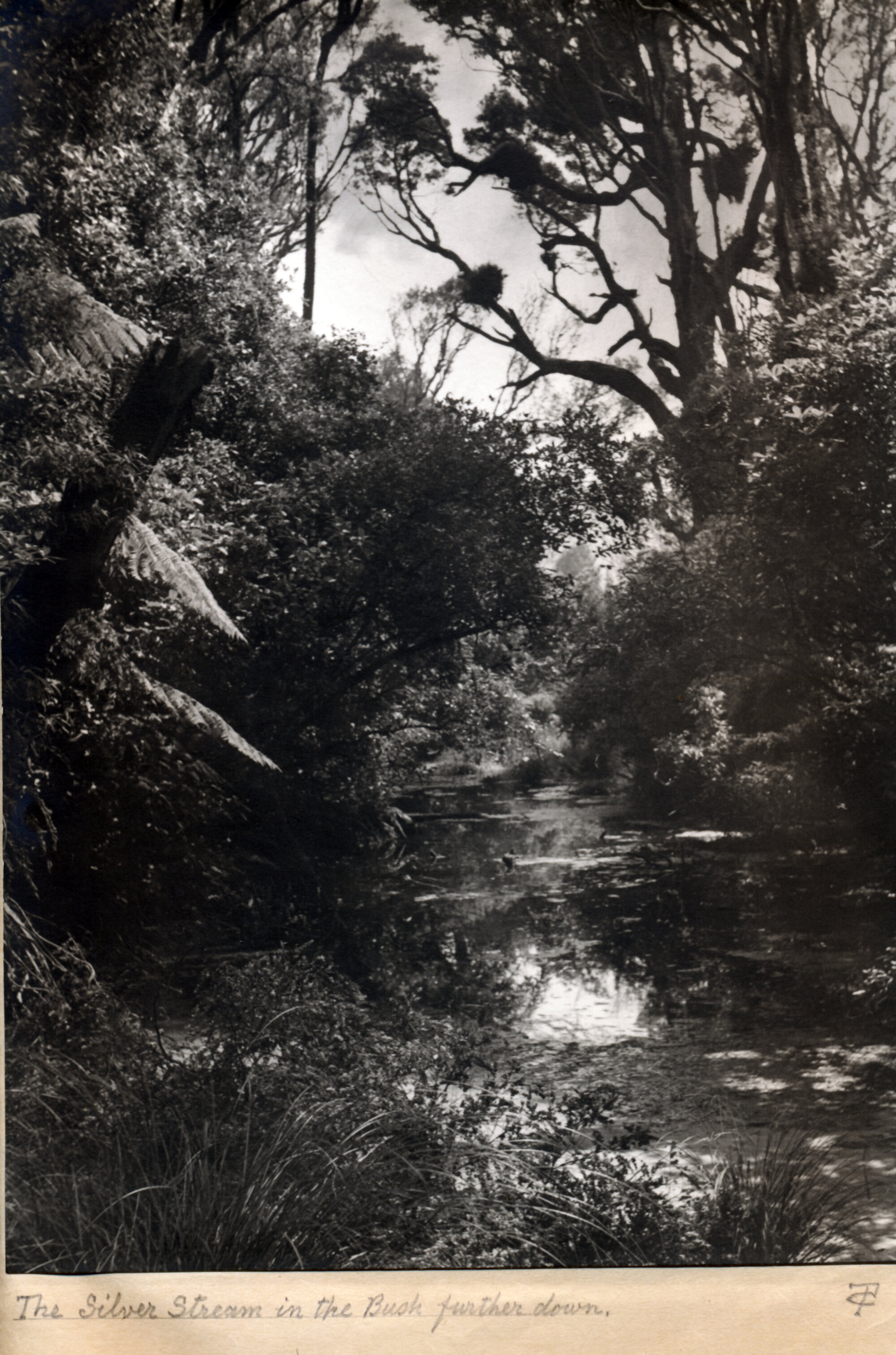 Old house; Barton homestead album  7; 'The Manor House', Trentham; the Silver Stream, in the bush further down.