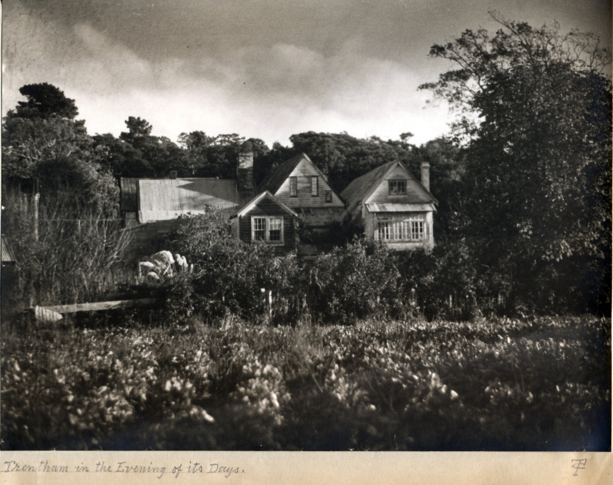 Old house; Barton homestead album  9; 'The Manor House', Trentham; view from the east