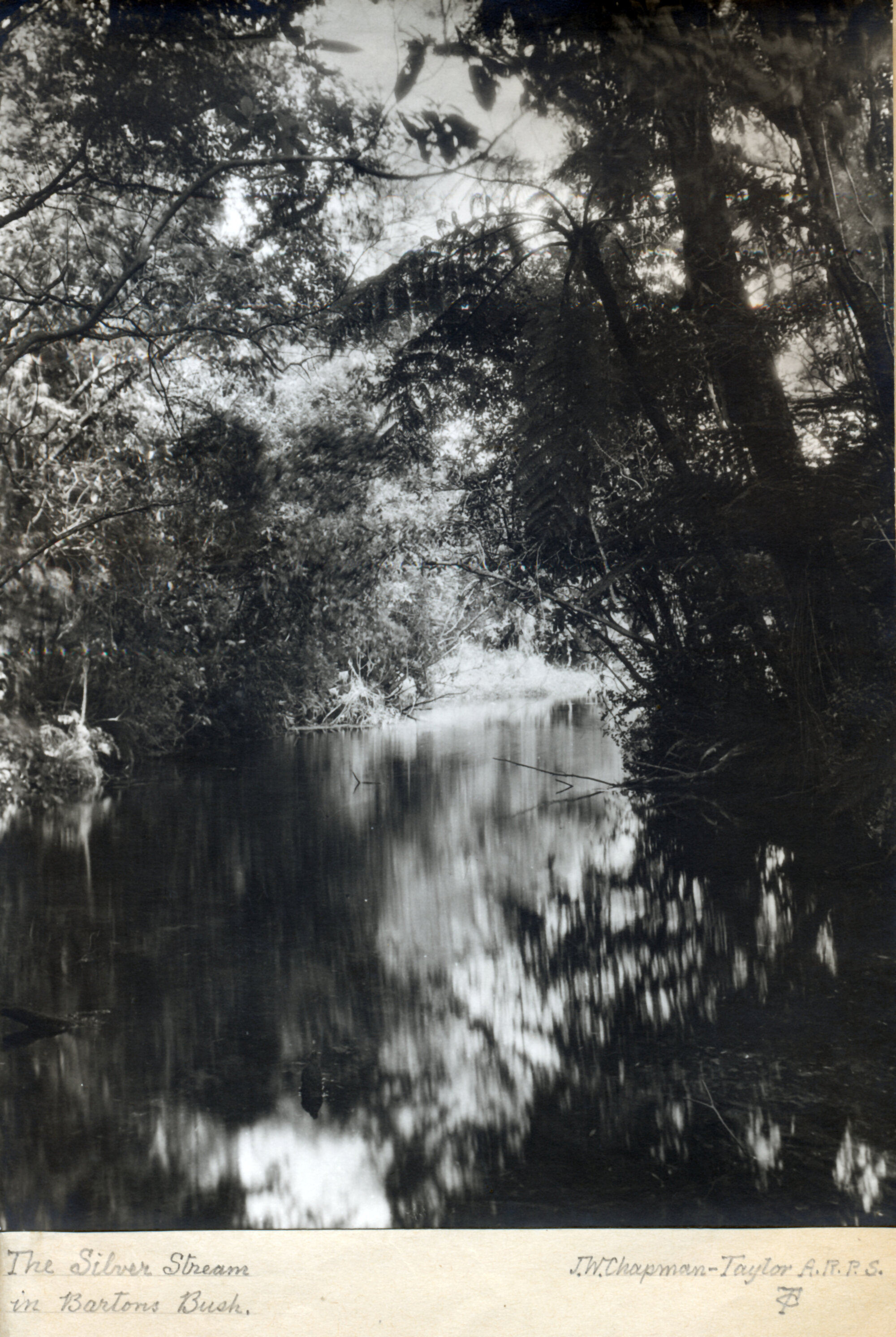 Old house; Barton homestead album 10; 'The Manor House', Trentham; the Silver Stream, in Barton's Bush.