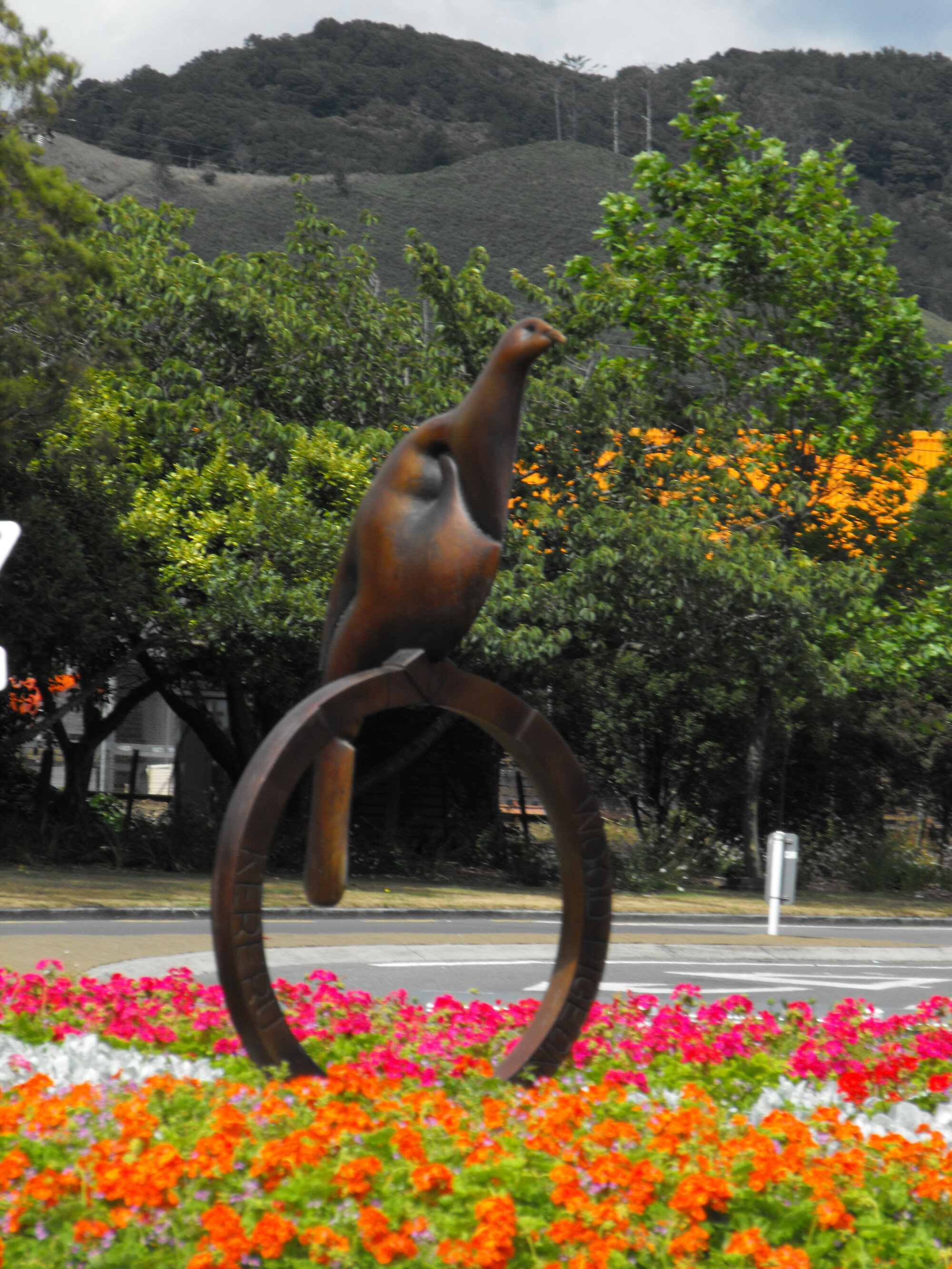Street art; corner of Main and King streets and Fergusson Drive; wood pigeon (kereru) on roundabout.