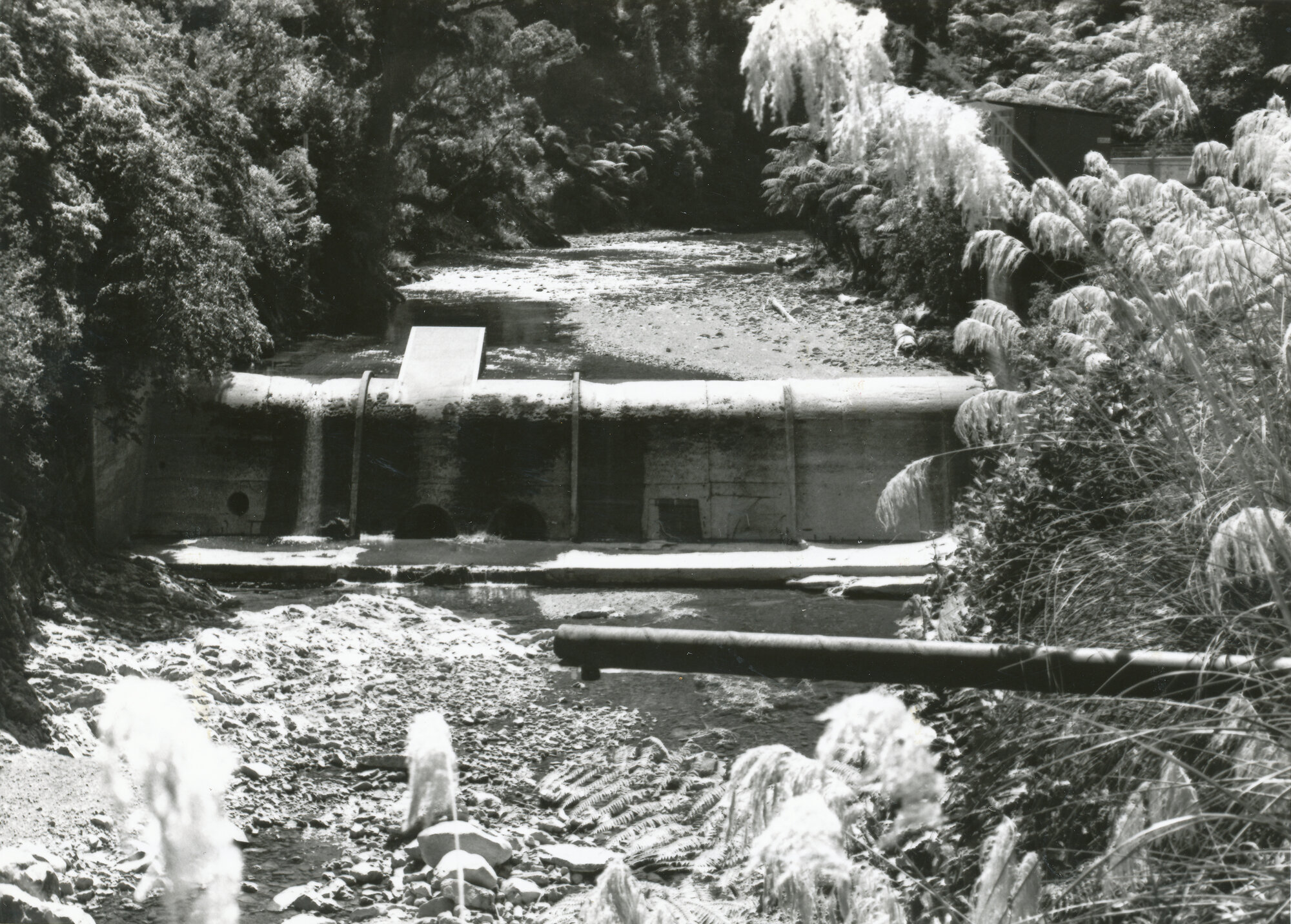 Kaitoke water-works; Te Awa Kairangi / Hutt River weir at un-heard-of low level.