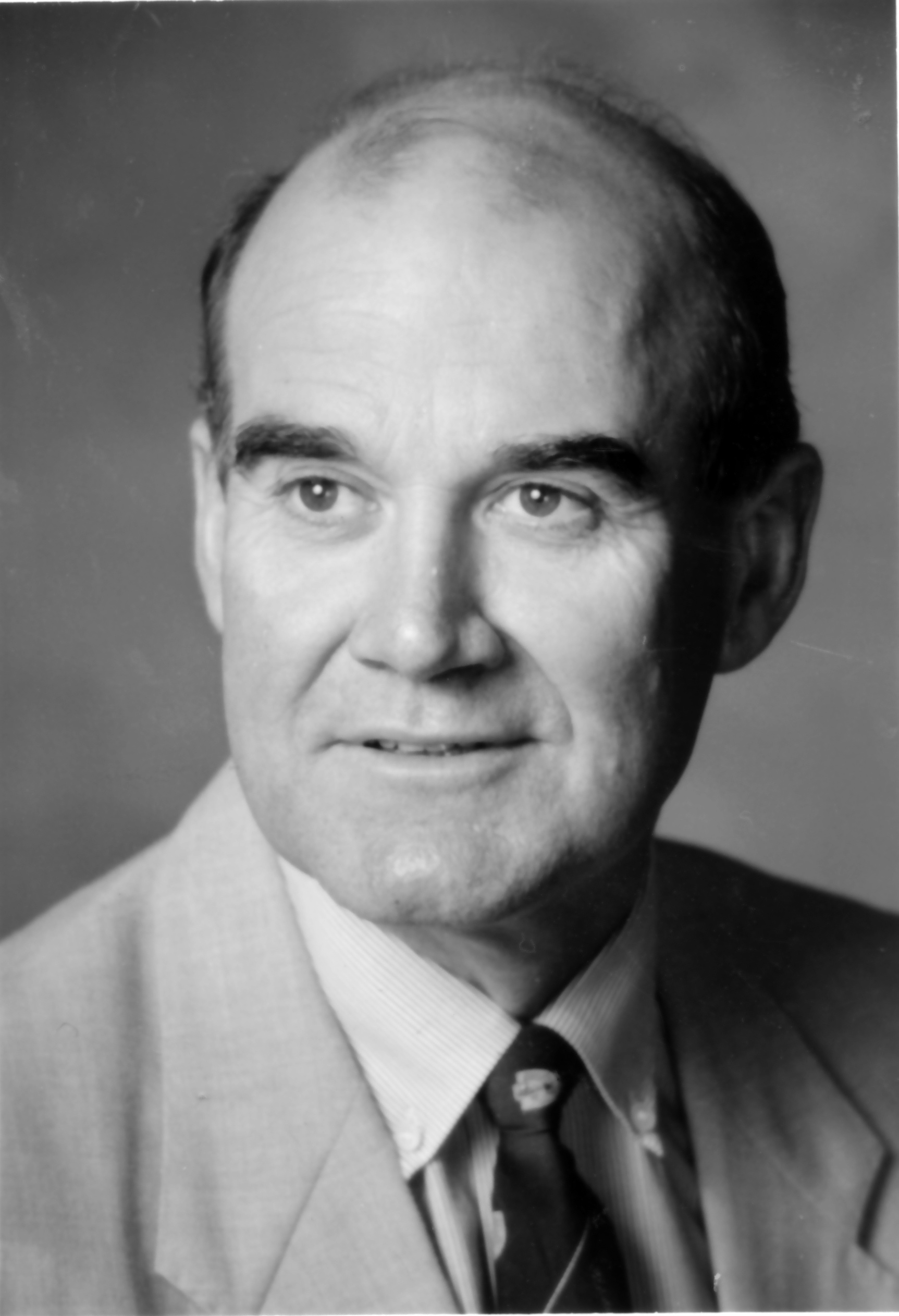 Local election candidates 1992; council;  7/26, 10 required; Ian Wallis.