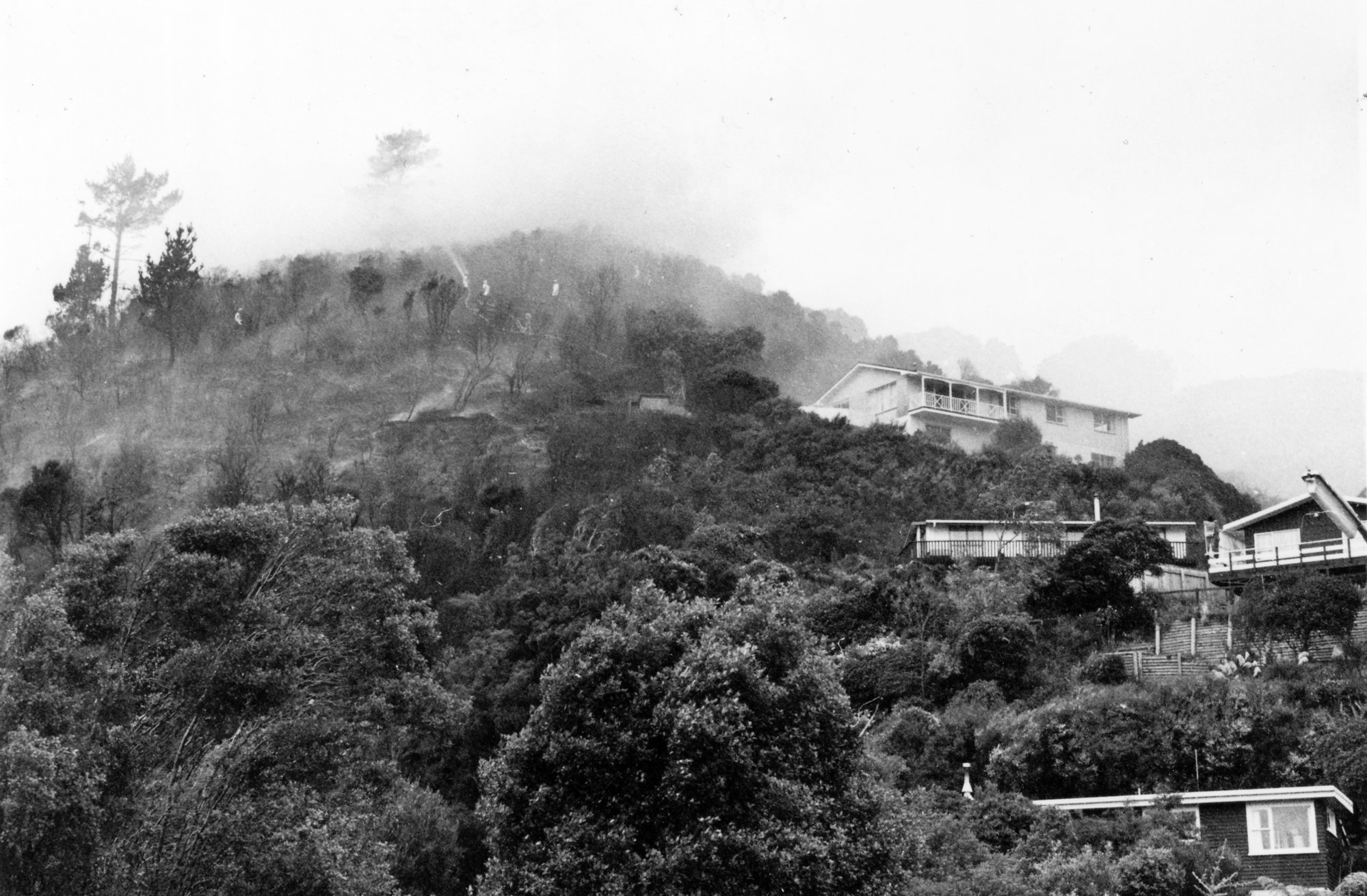 Scrub Fire on Emerald Hill, January 1988