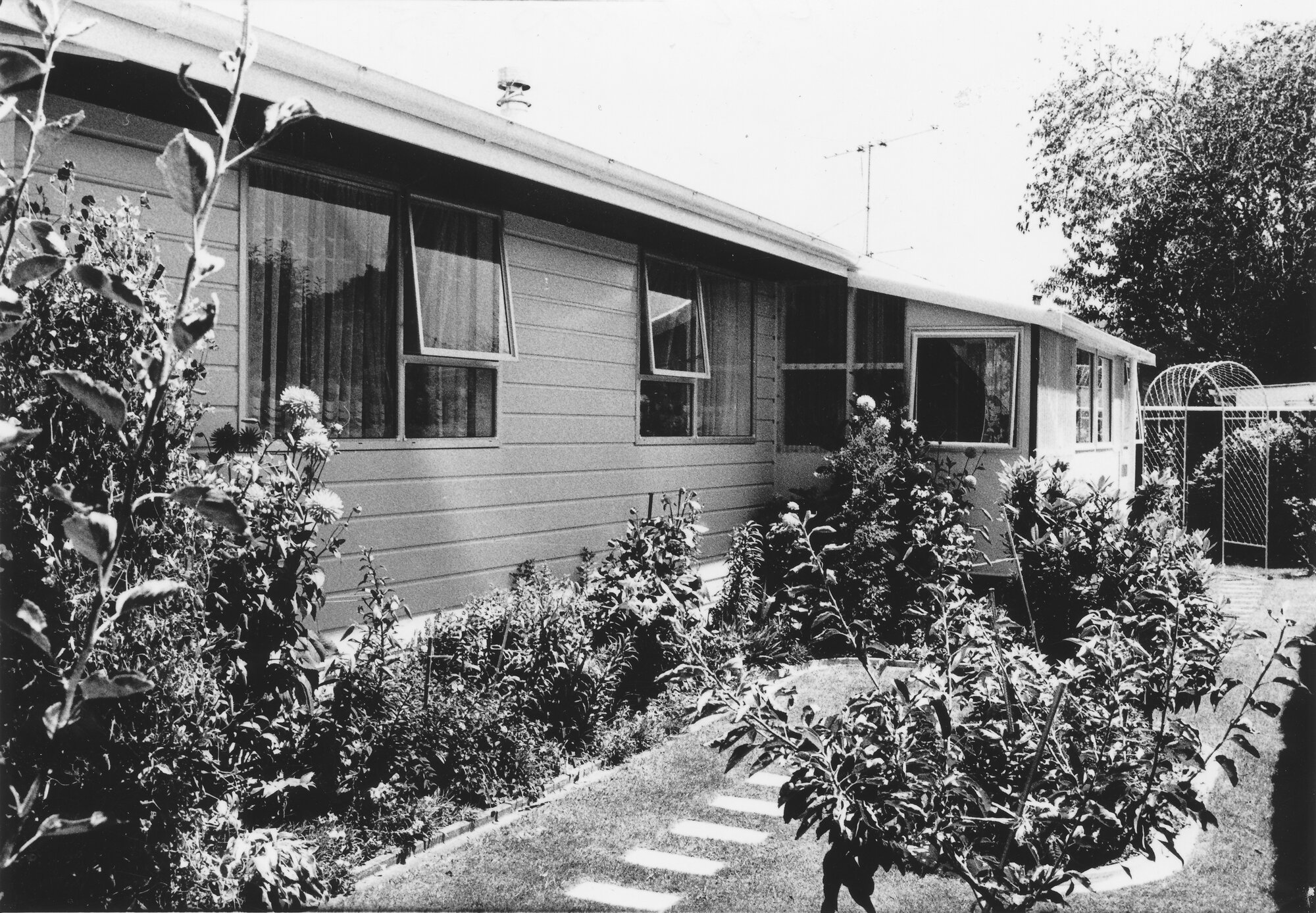 House, Tui Grove; north wall.