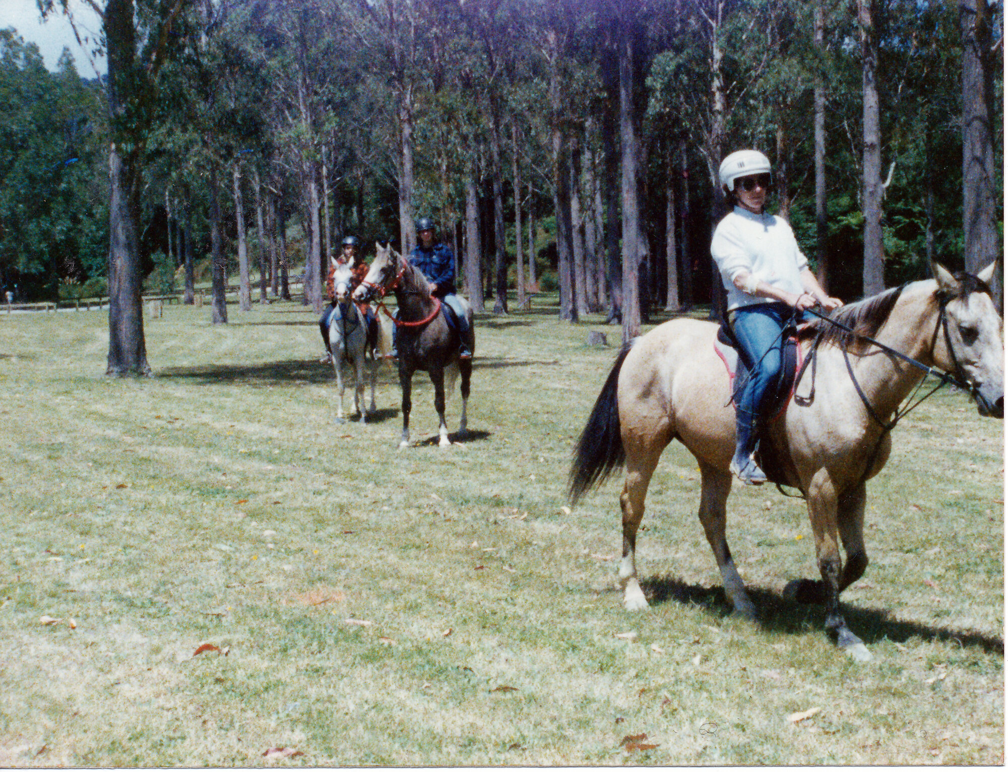 Maruis Children's Riding School ex-pupil Carolyn Loggie in Maymorn competitive ride.