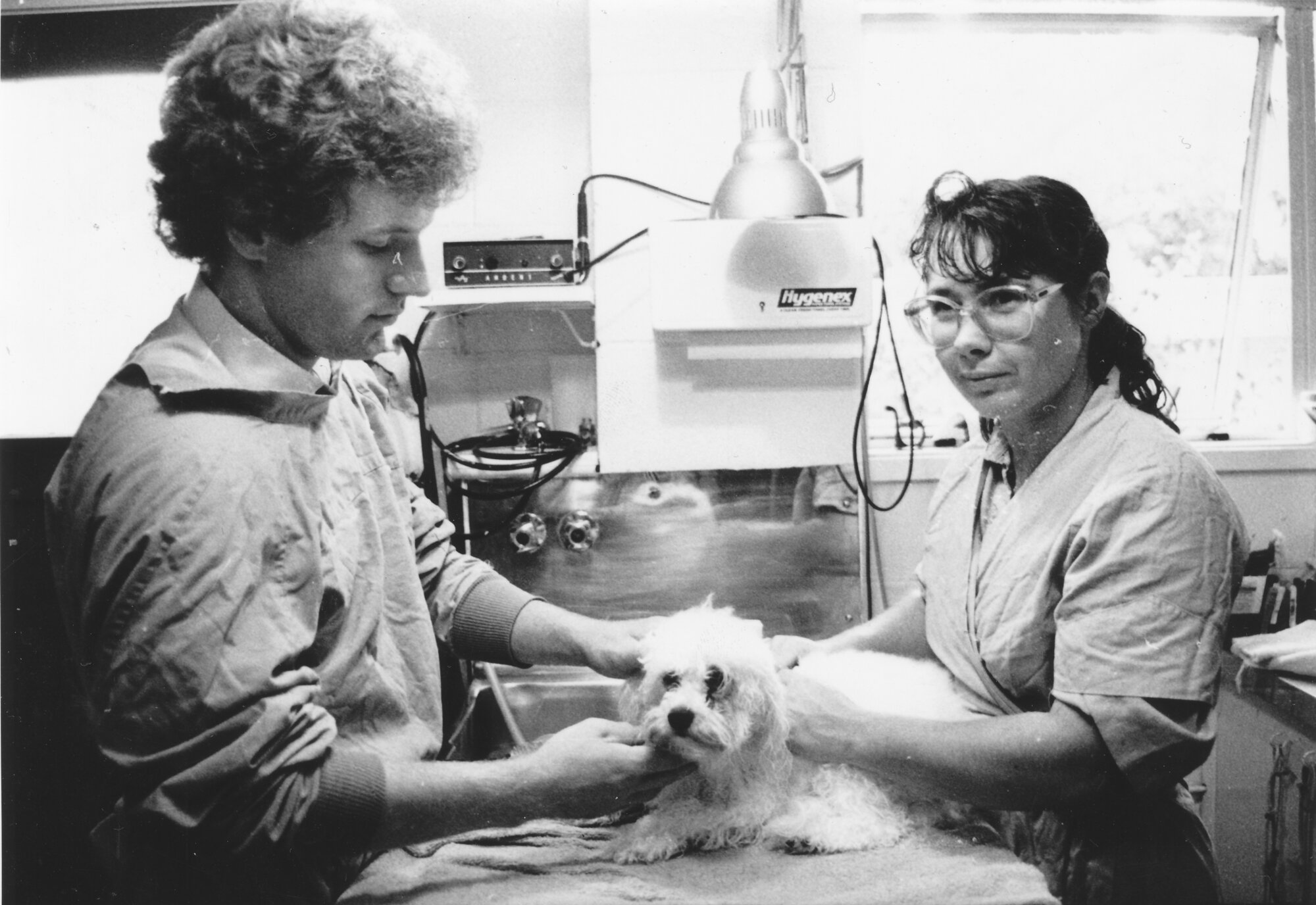 Pet grooming and Care at Upper Hutt Veterinary Hospital