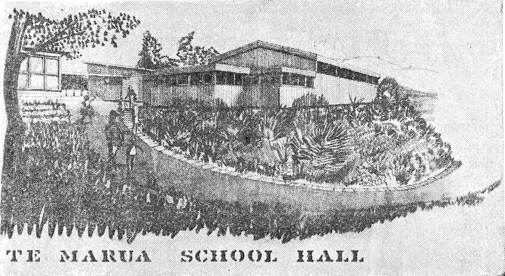 Te Marua School 1966; architect's drawing of the hall