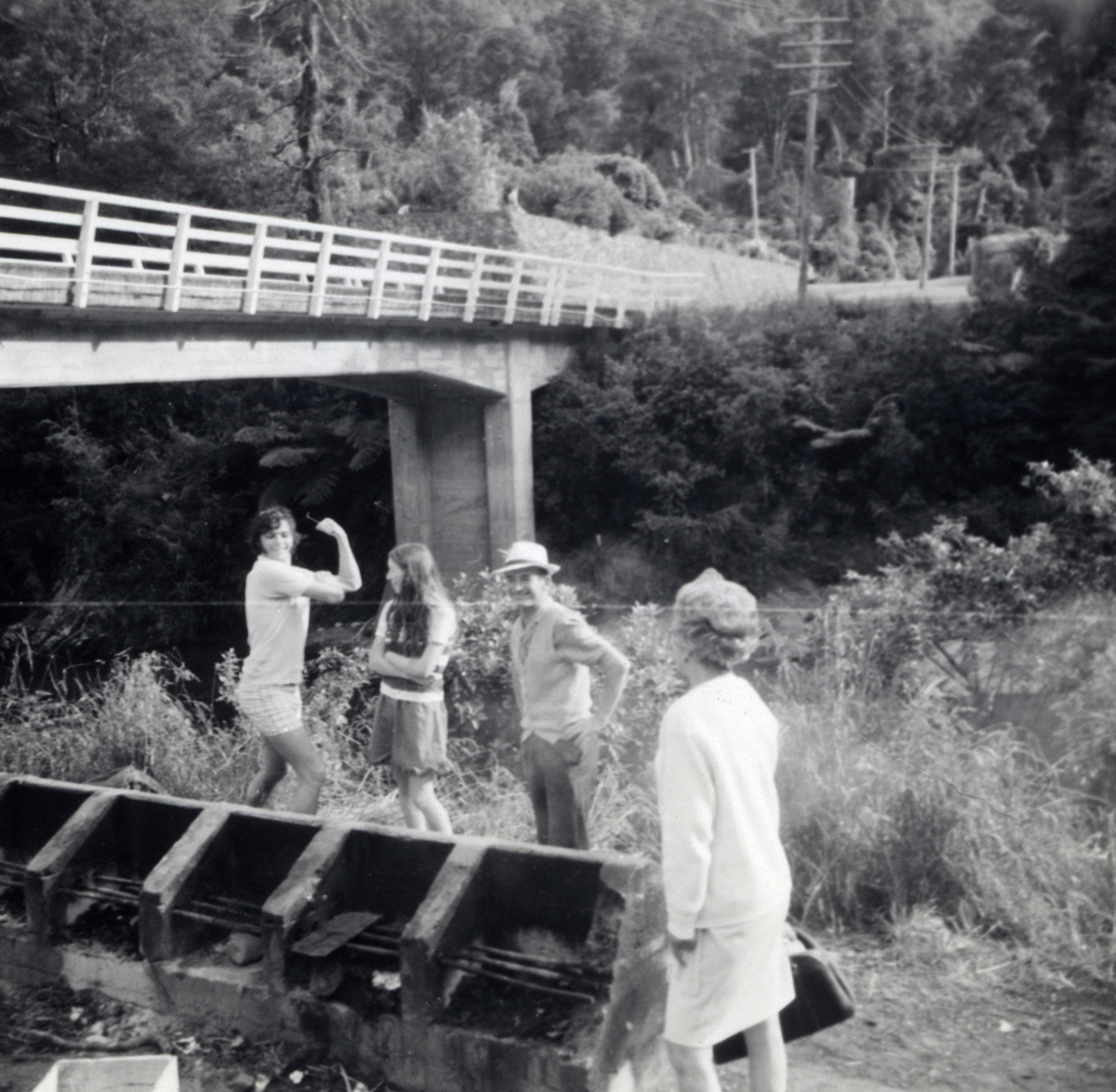 Kaitoke Waterworks