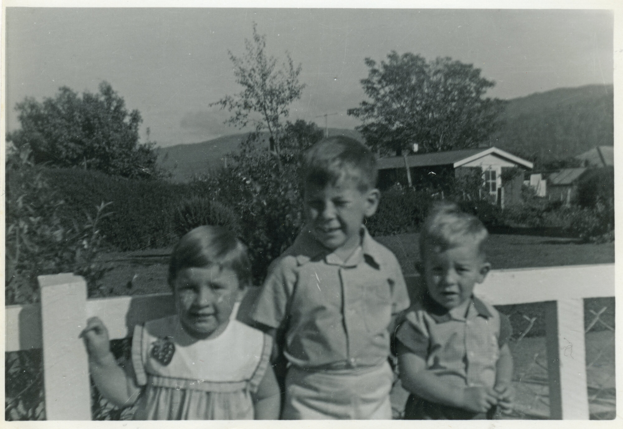 Harris family; Pip, David and John Harris (Beryl and Arthur Harris&rsquo;s children) at the family home, Sandford St, Upper Hutt,  c.1965