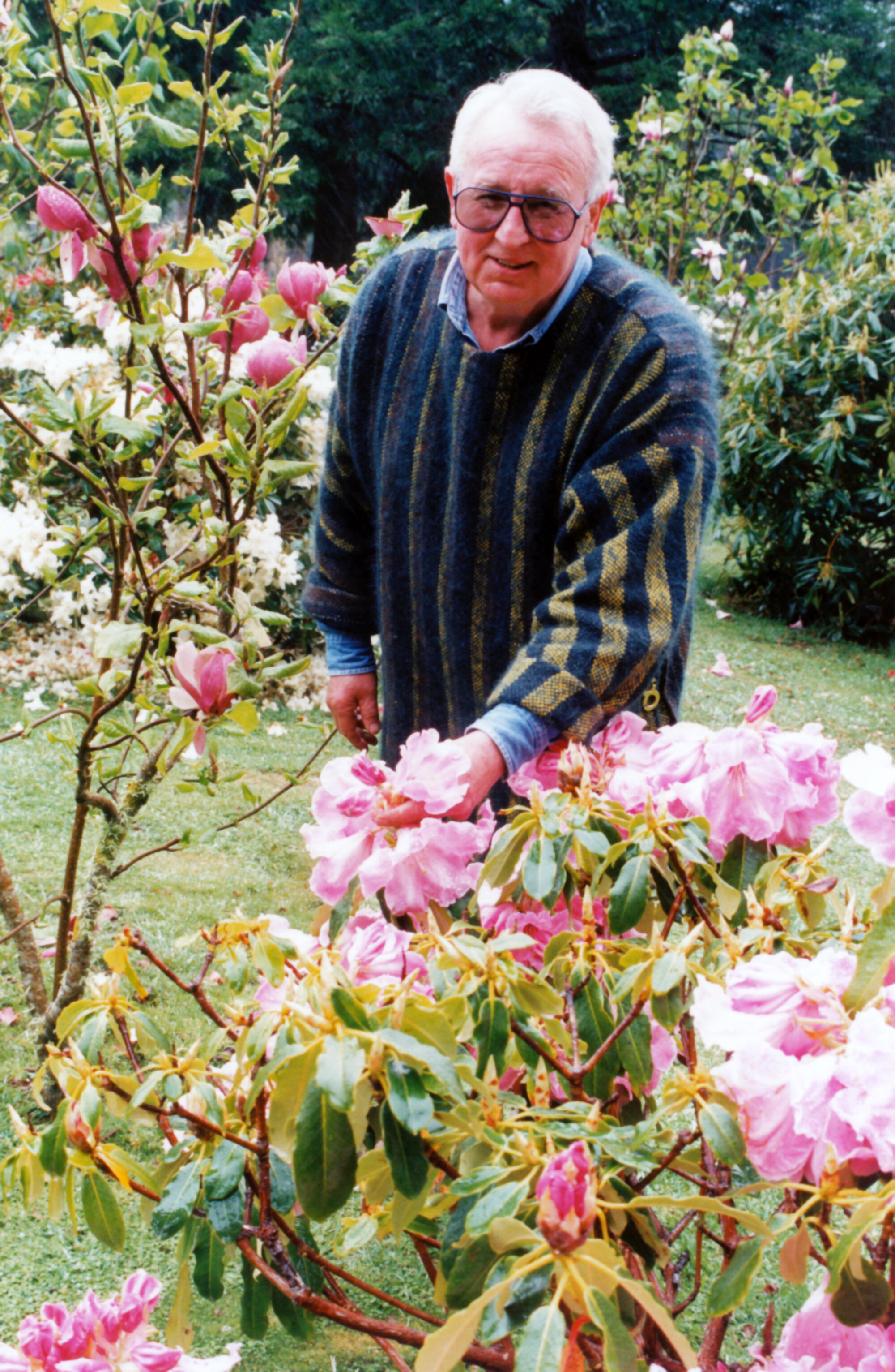Ernie Cosgrove in his Efil Doog Garden of Art, with rhododendrons.
