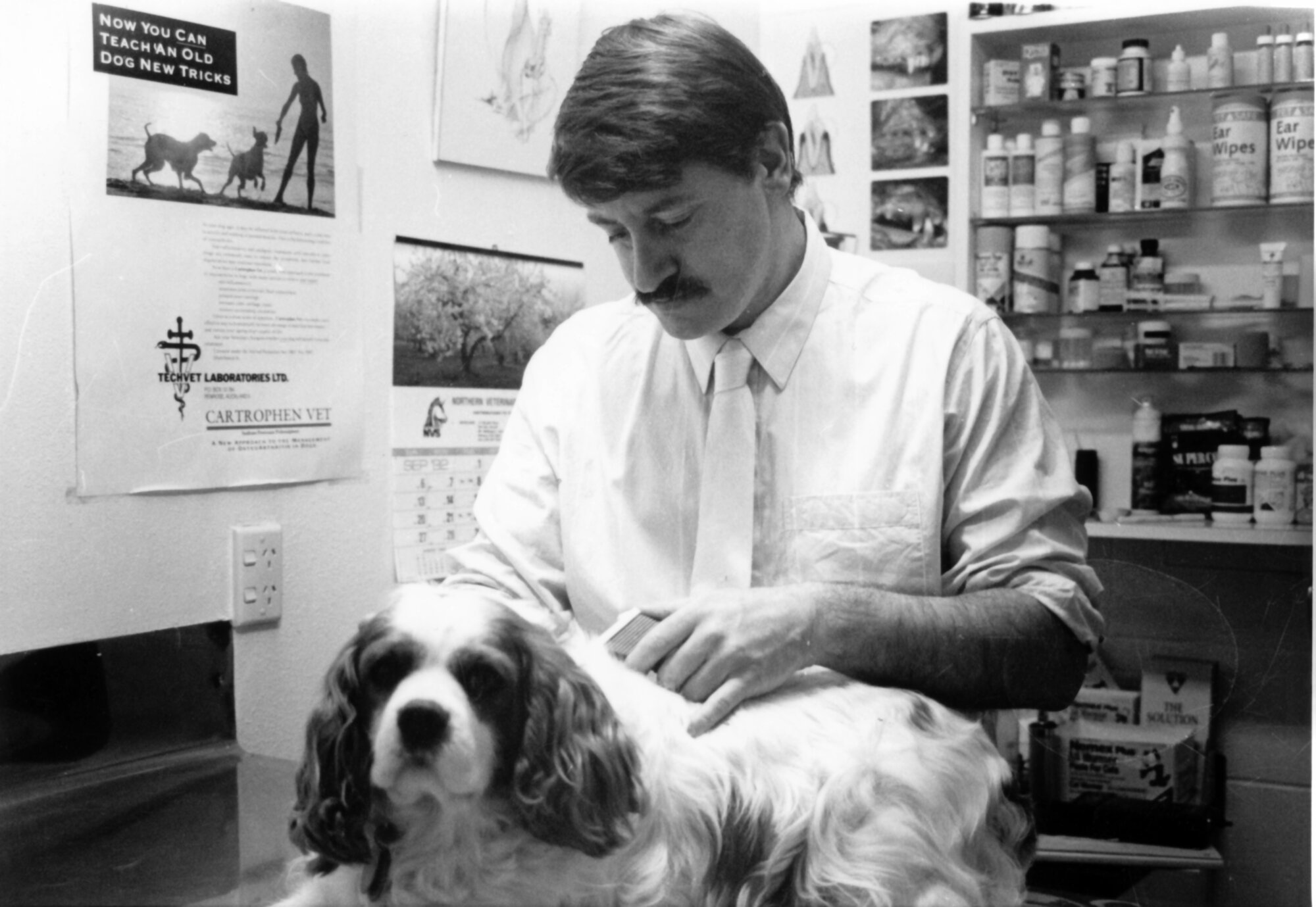 Upper Hutt Veterinary Hospital; microchip identification standardised; Ray Lord, vet.