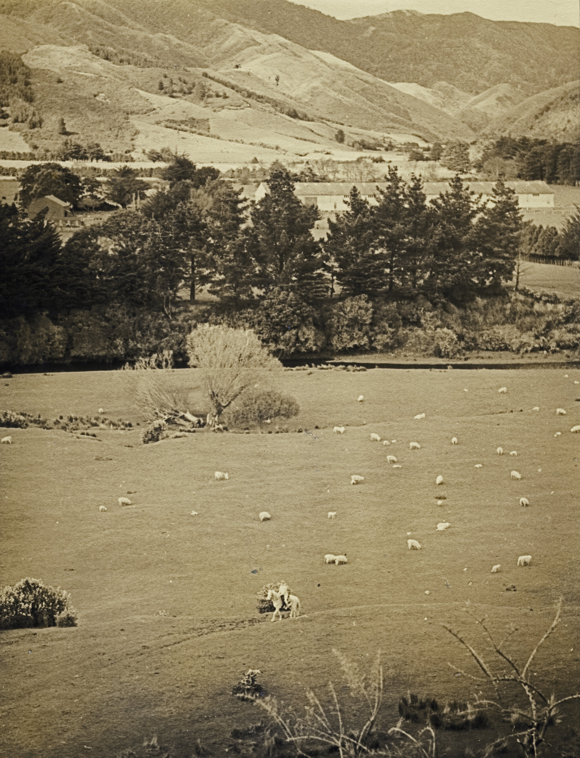 Jackson family and friends; Lynne on Pepper, late 1960