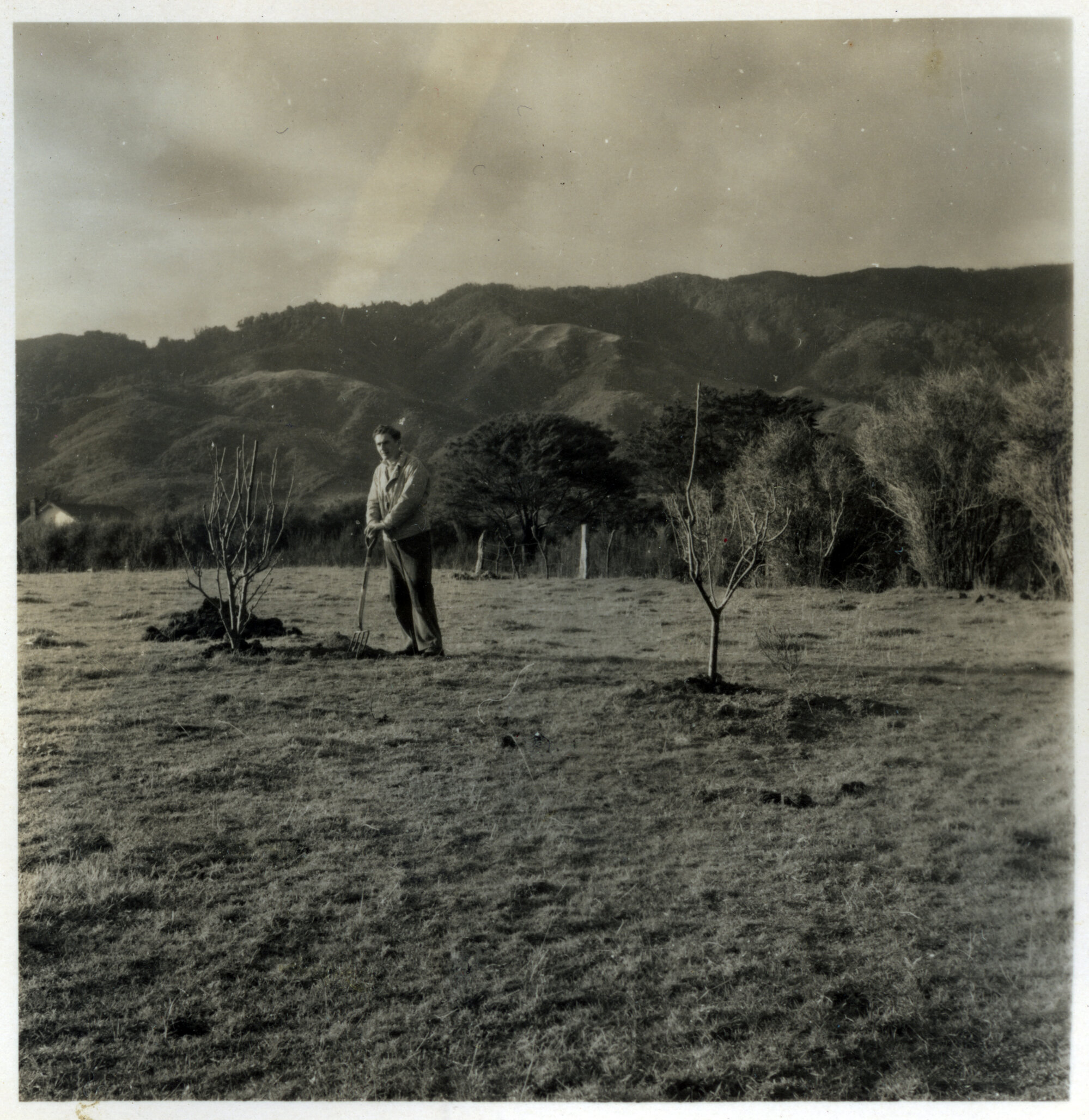 Revelle Jackson; 5 Paton Street, Mangaroa house  2; "The beginning - of toil and  a tale"
