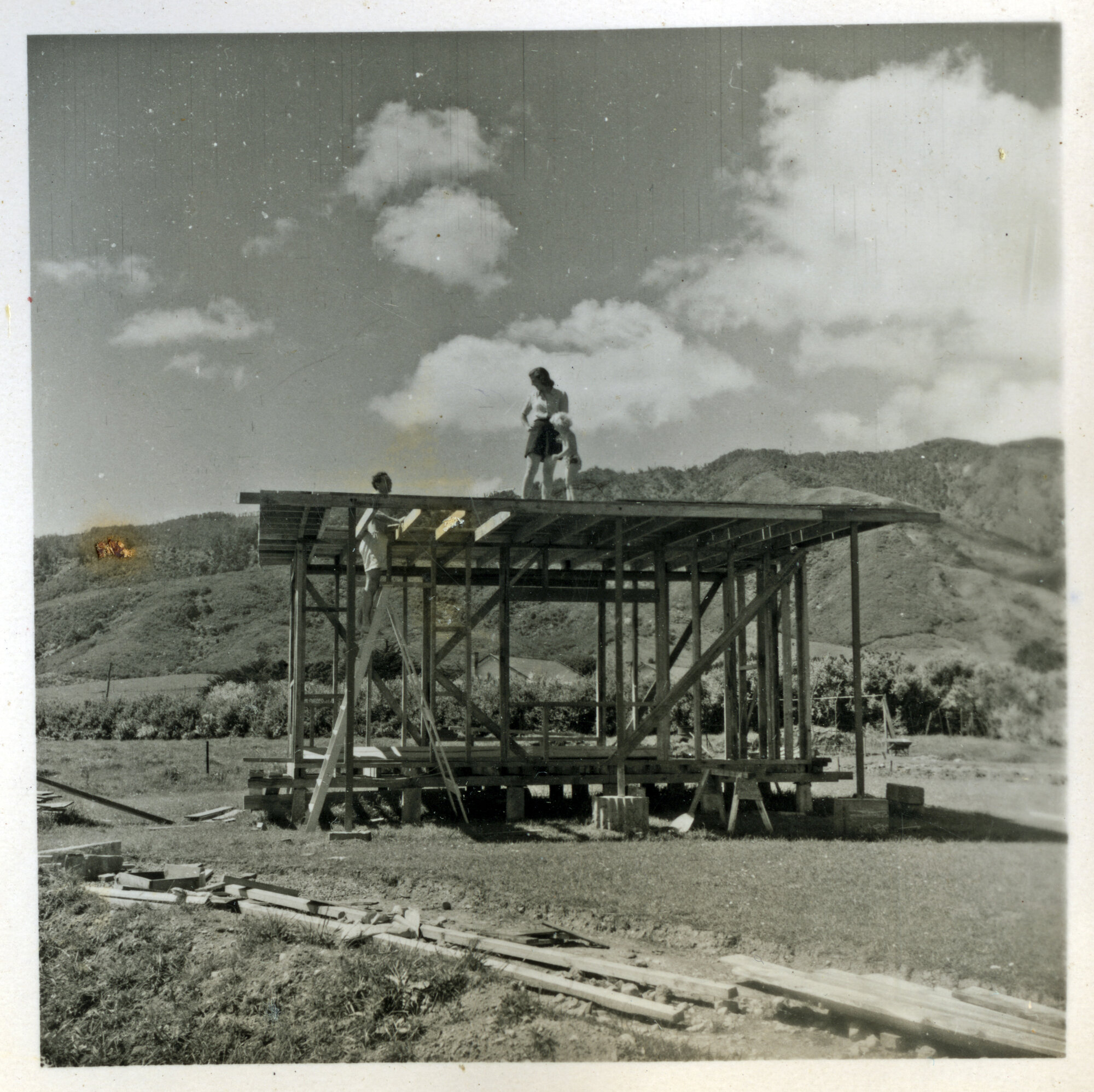 Revelle Jackson; 5 Paton Street, Mangaroa house 10; frame work and roof 