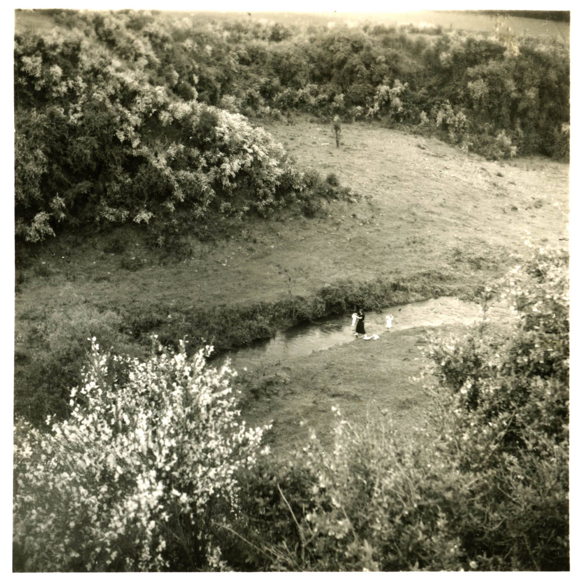 Jackson family and friends; Stella Jackson rinsing the washing 1952